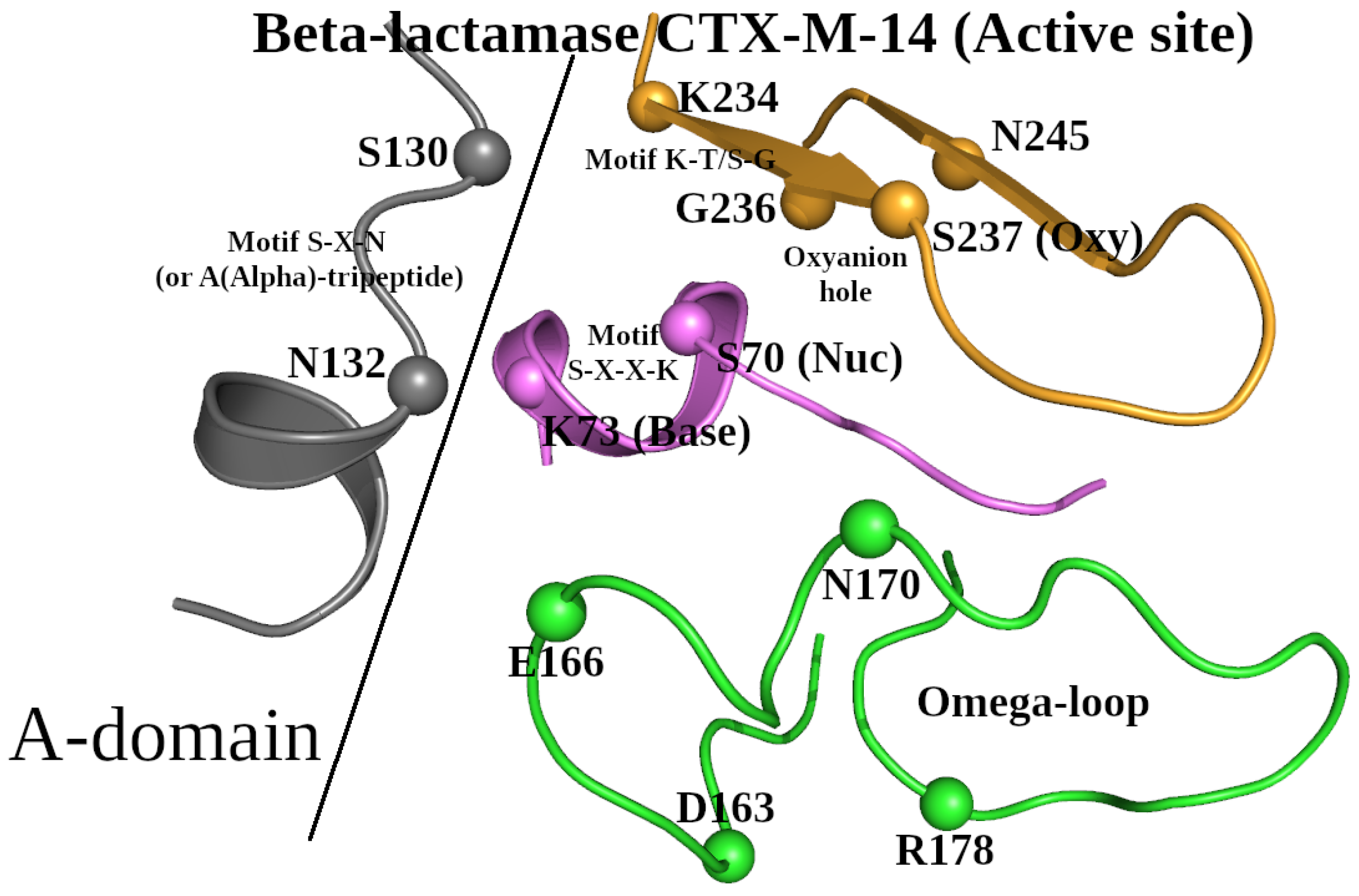 Preprints 153189 g001