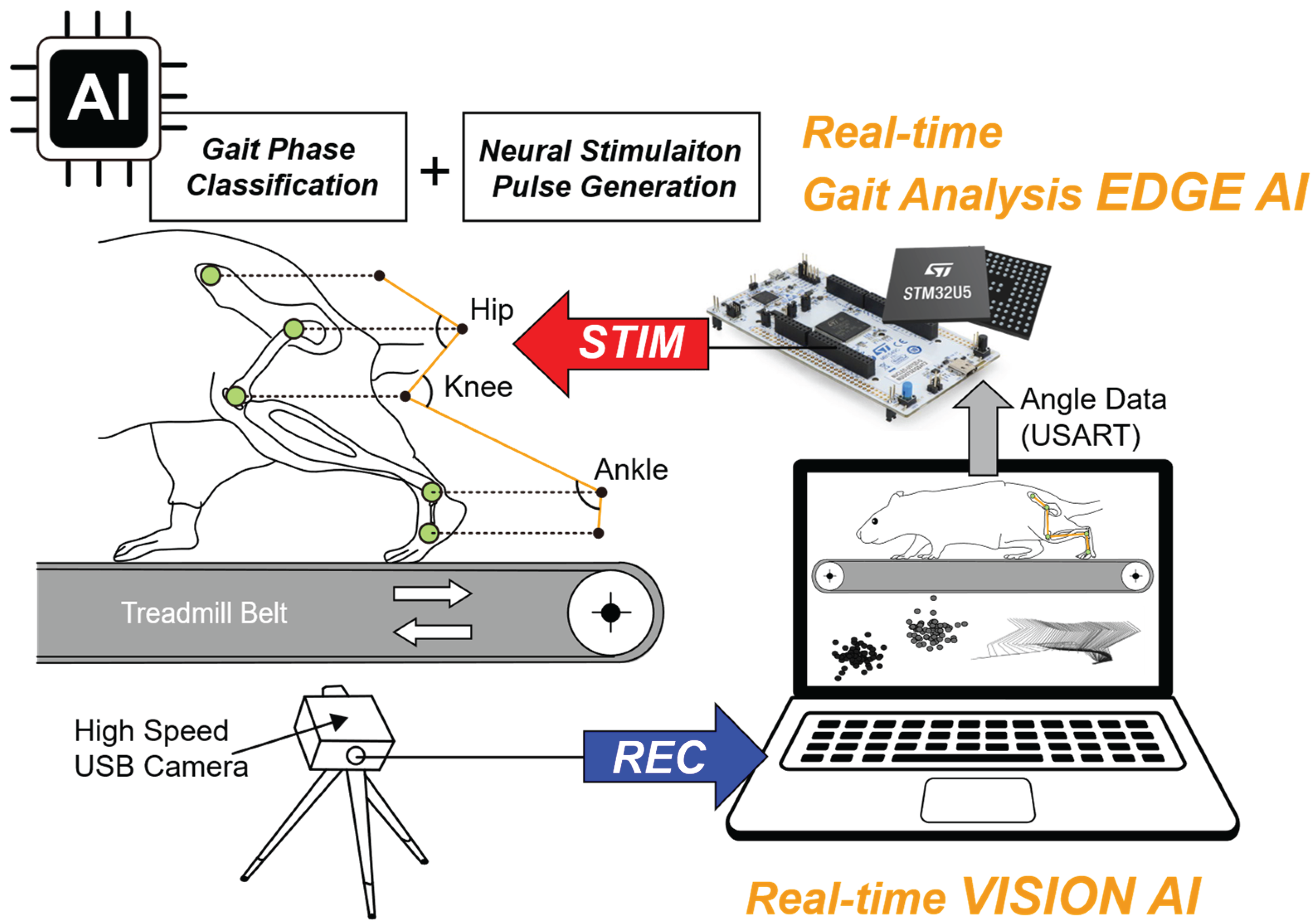 Preprints 193092 g001