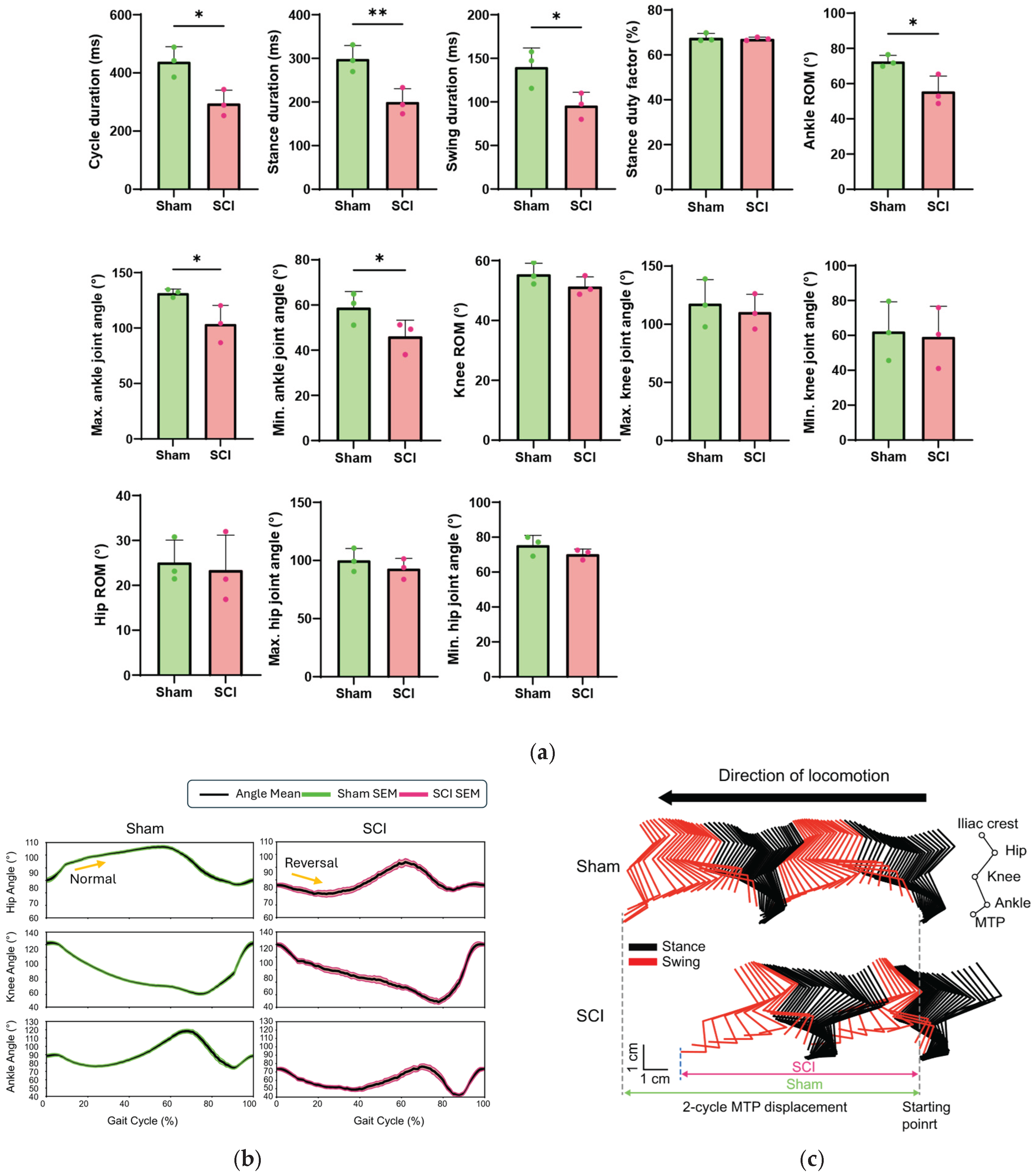 Preprints 193092 g003