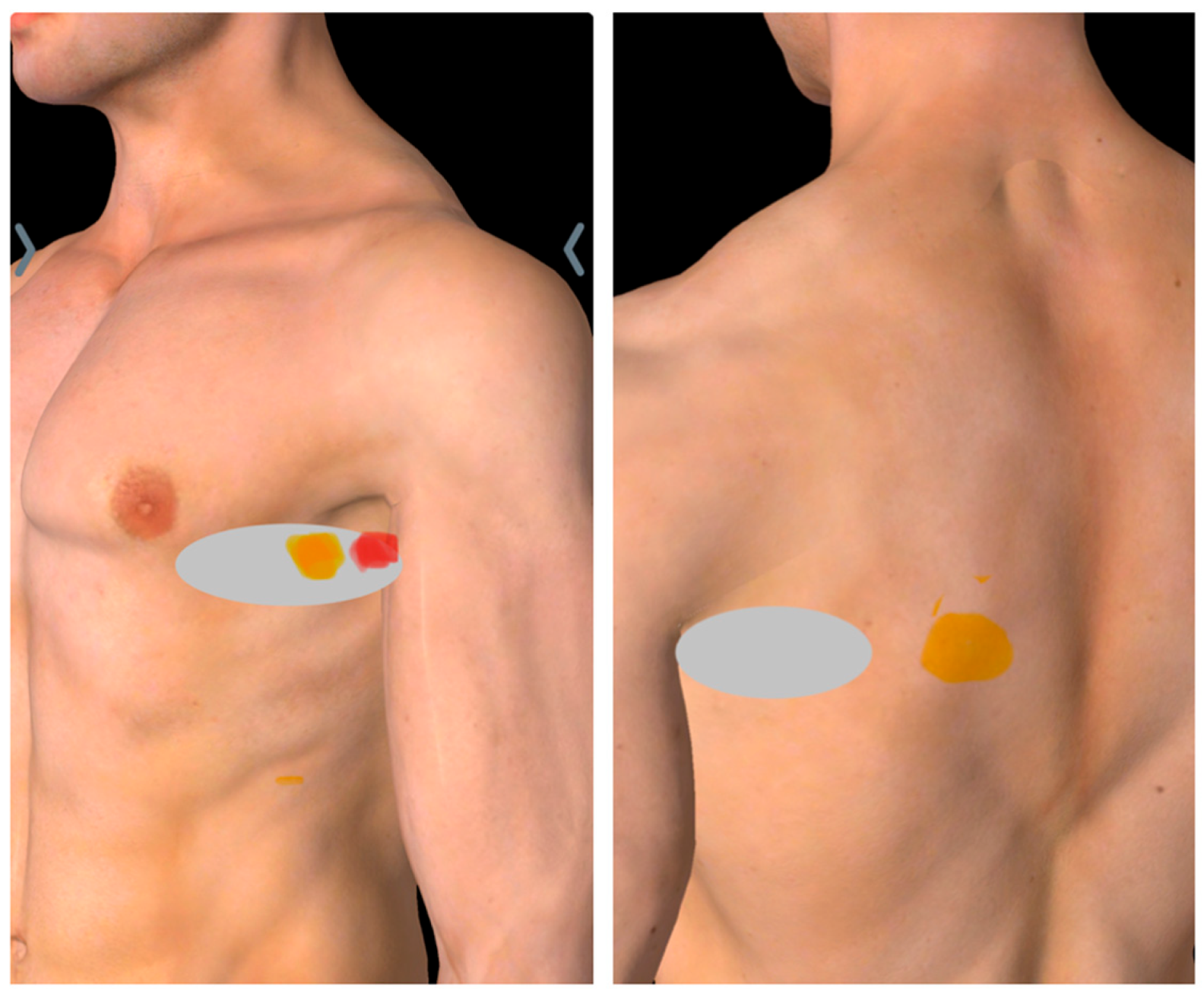 Preprints 159880 g001