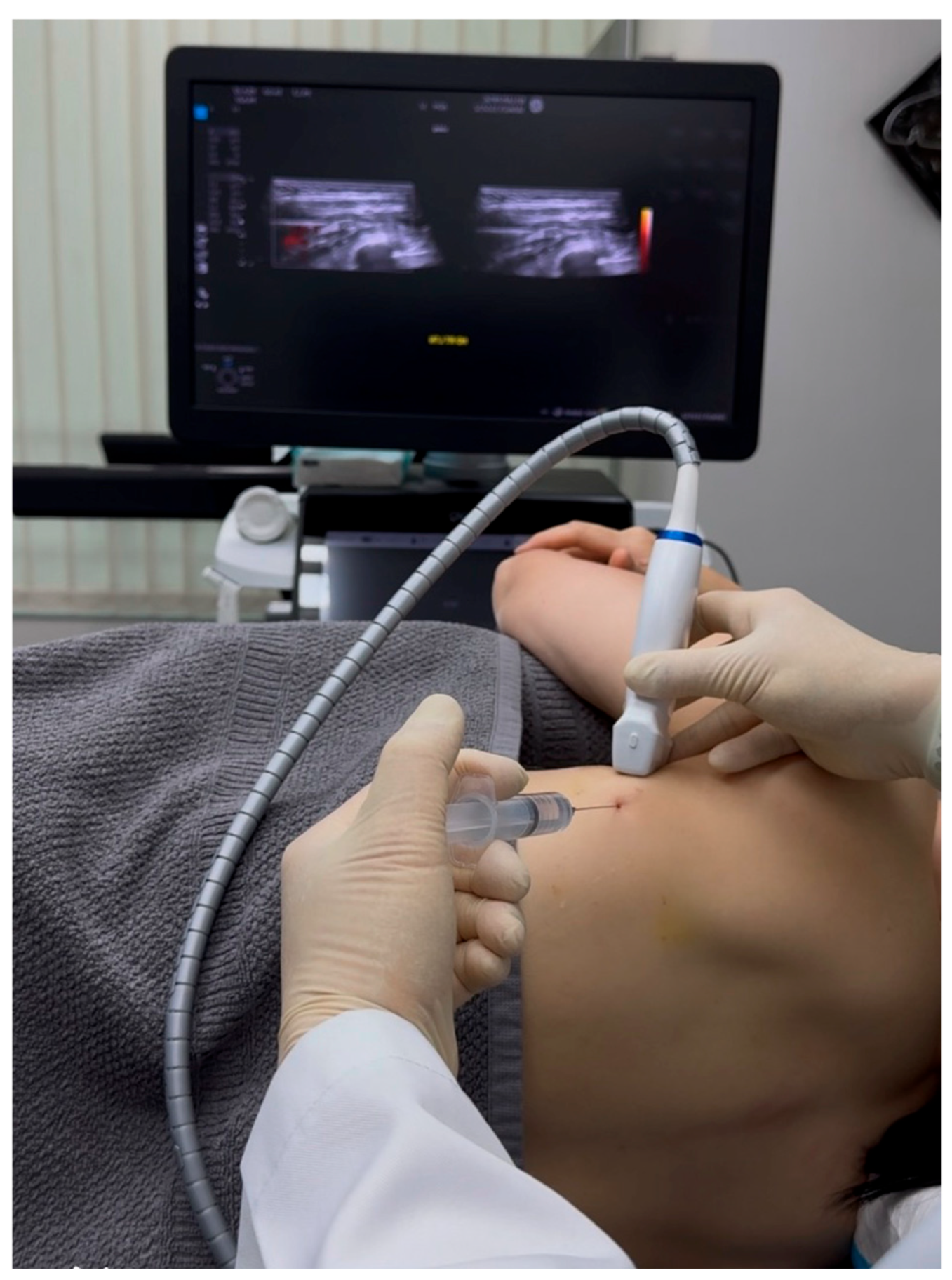 Preprints 159880 g004