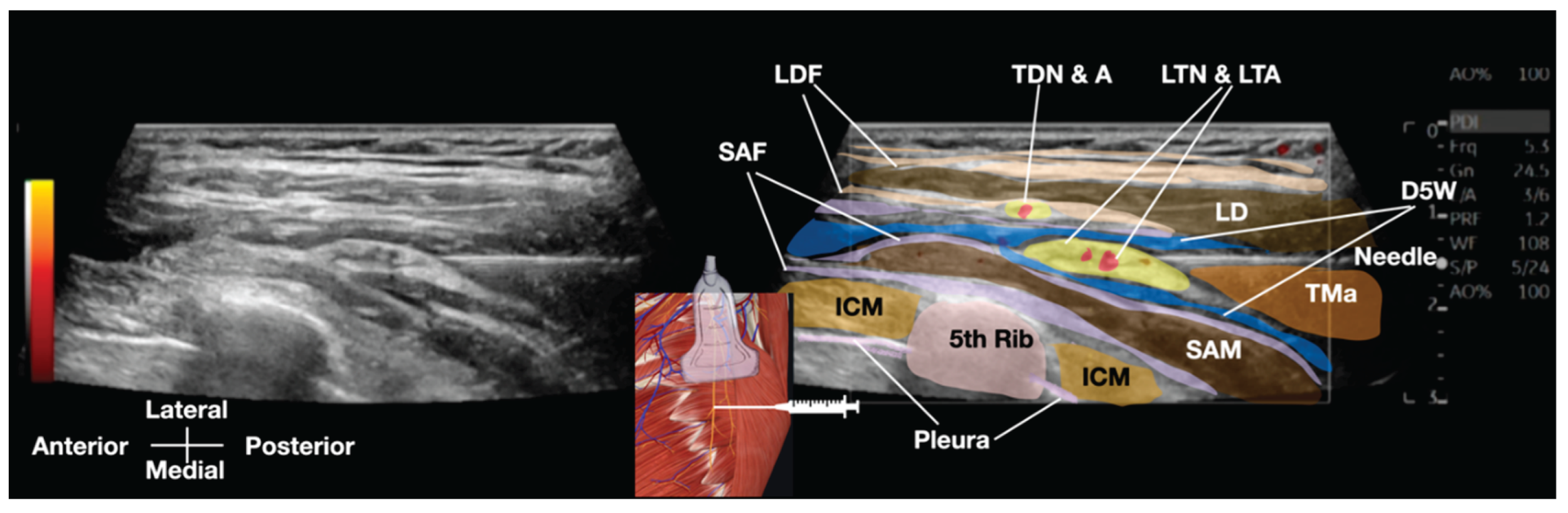 Preprints 159880 g005