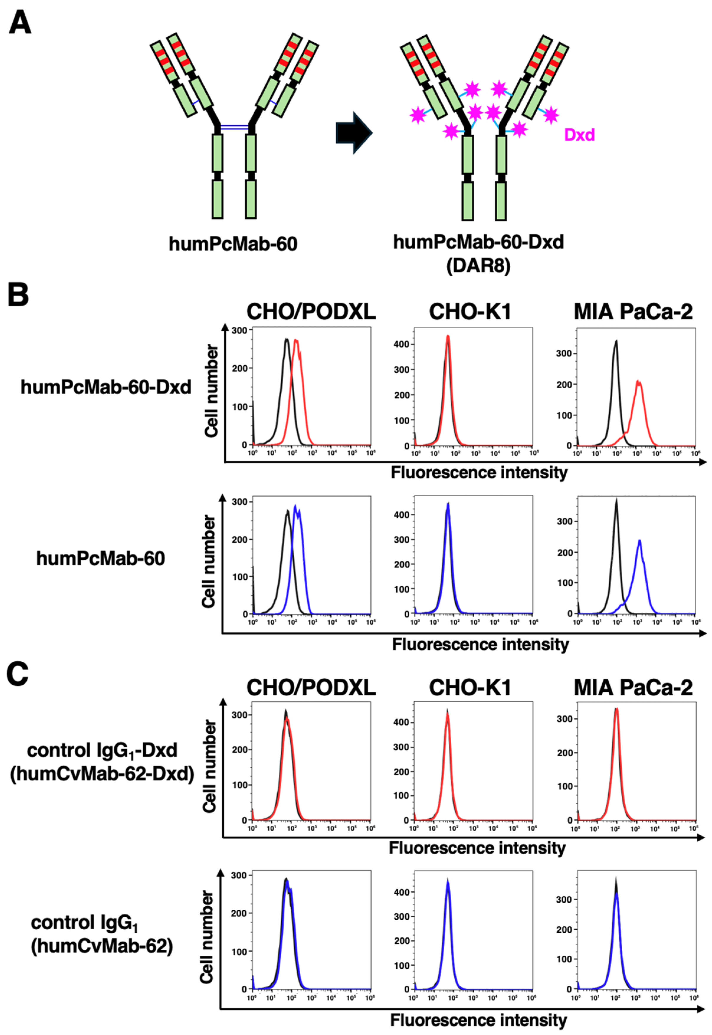Preprints 233404 g001 Preprints 233404 g001