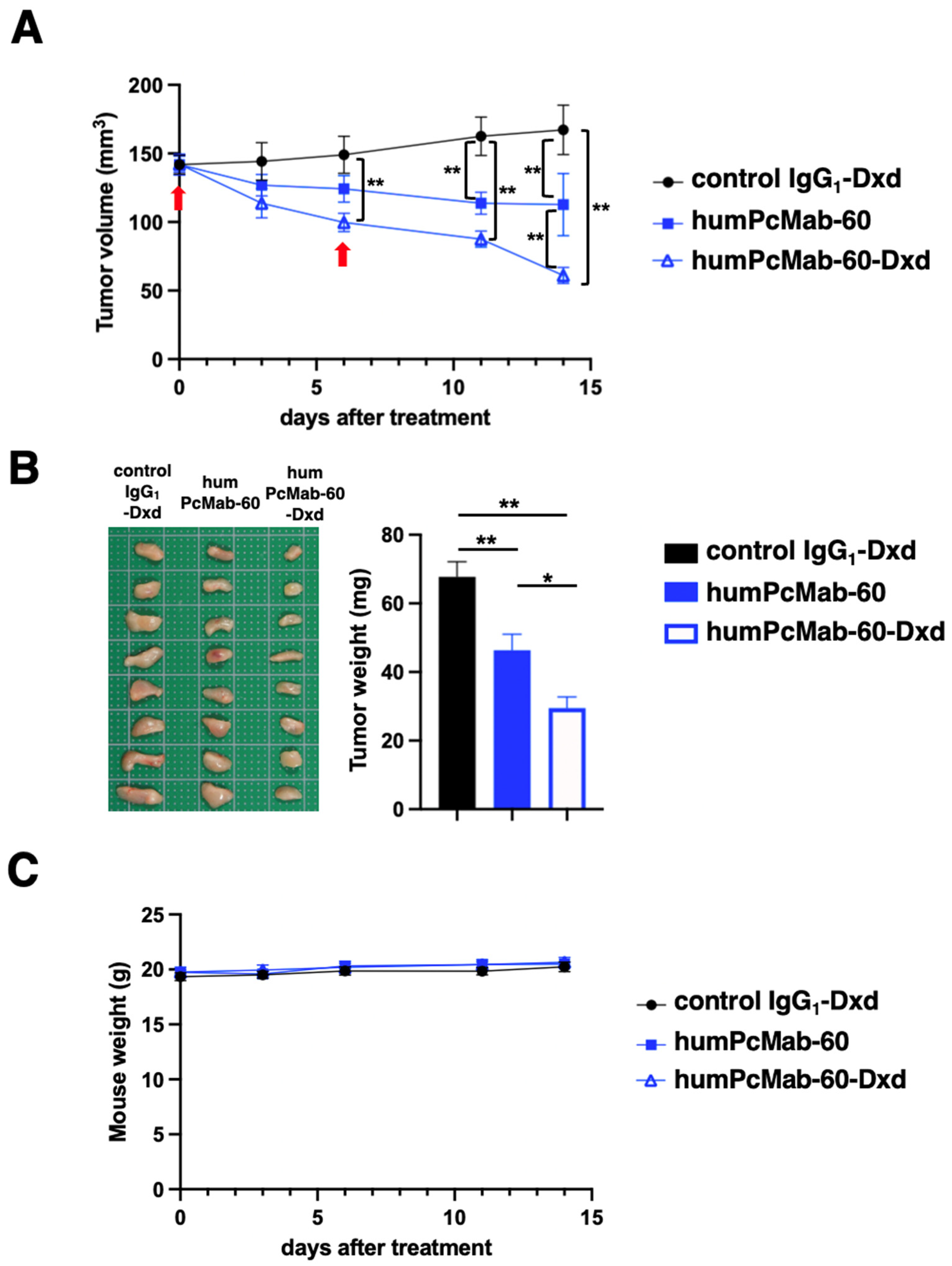 Preprints 233404 g003 Preprints 233404 g003