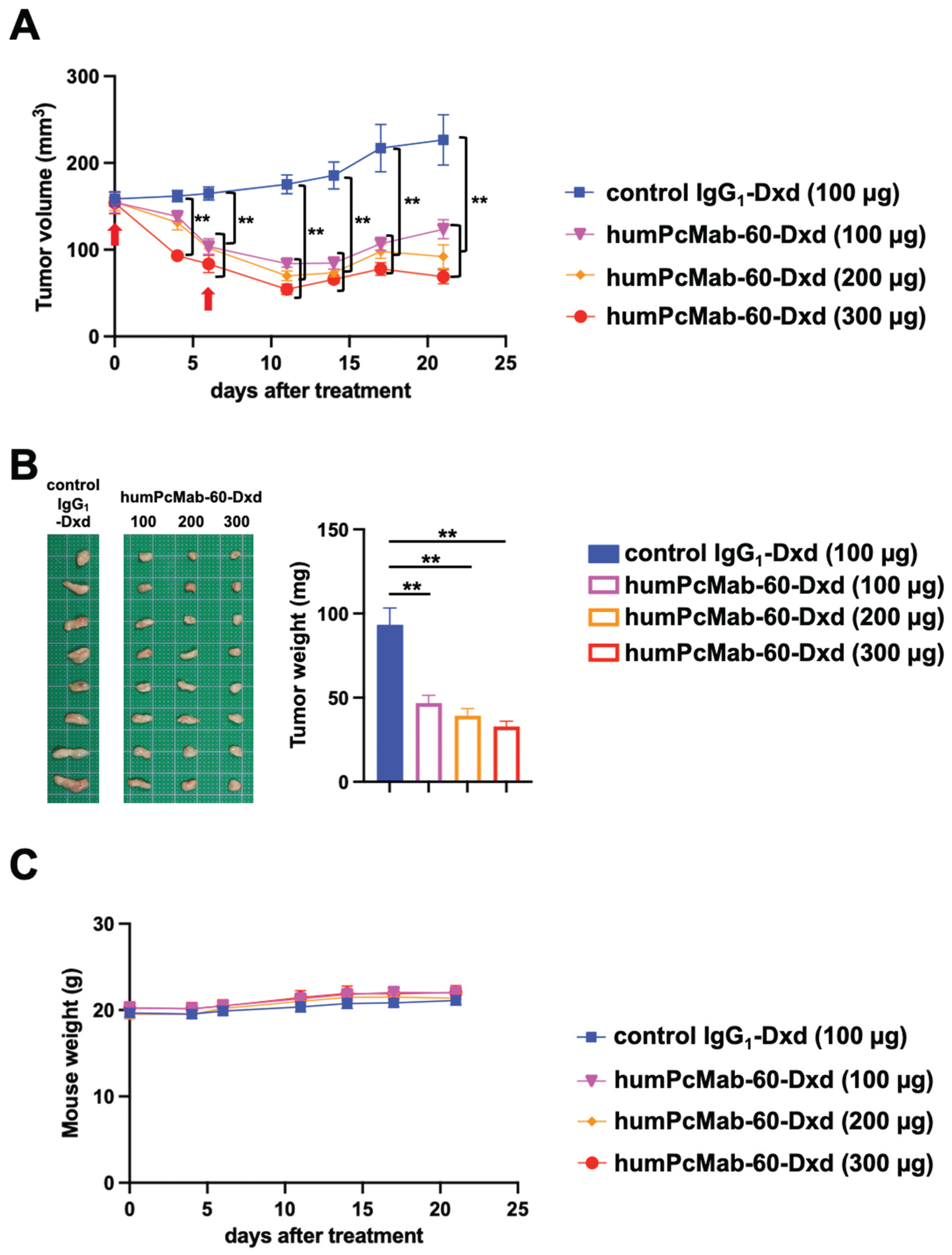 Preprints 233404 g004 Preprints 233404 g004