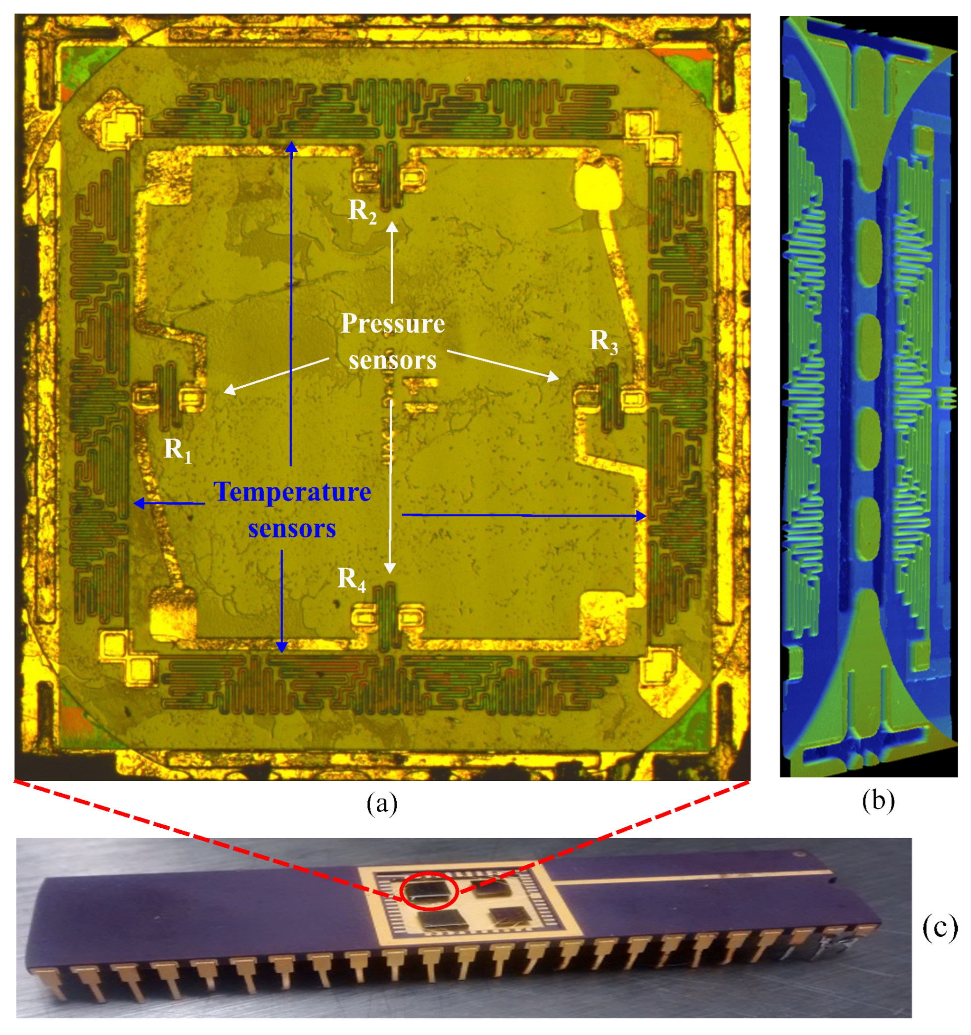 Preprints 198643 g007