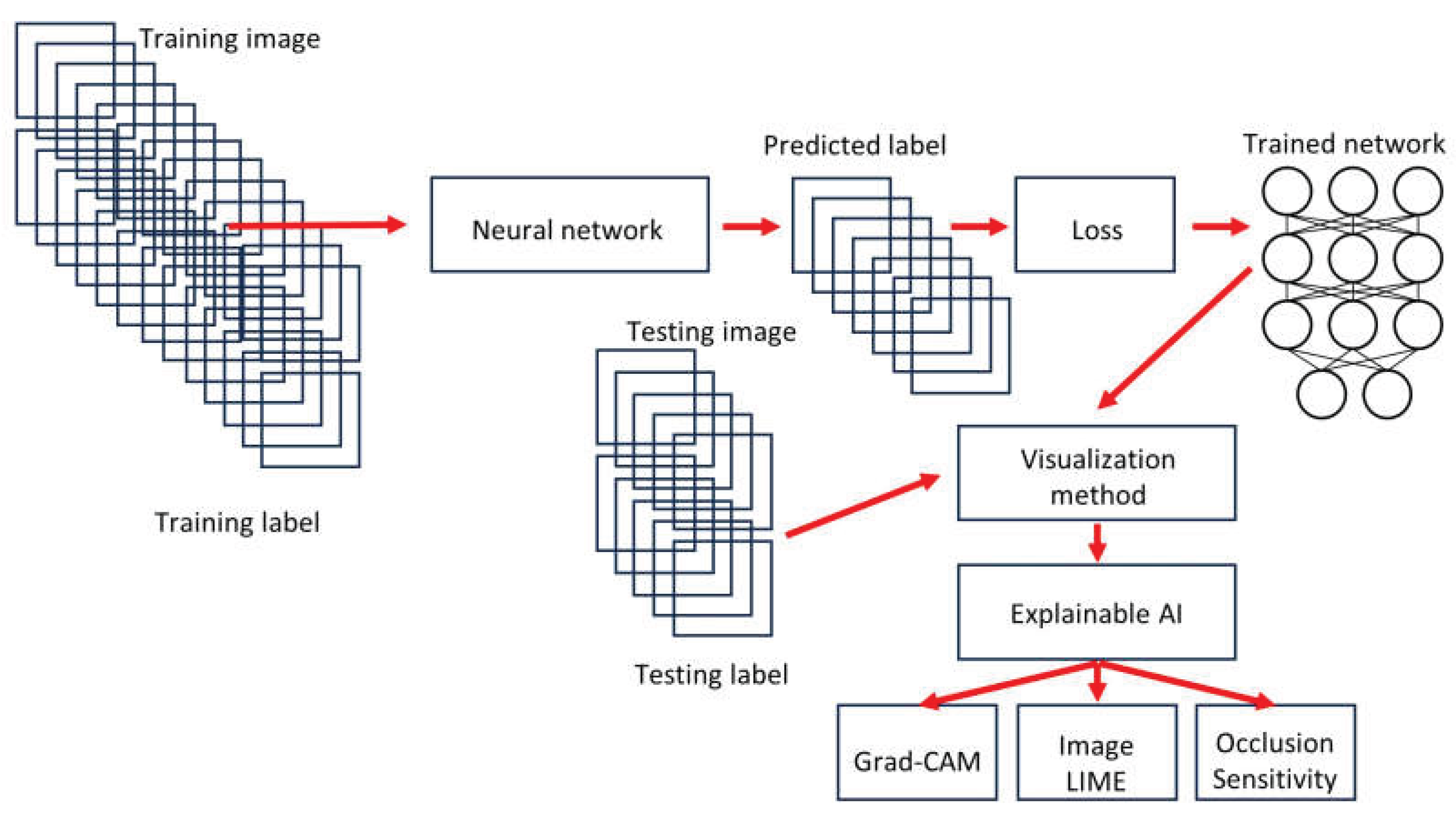 Preprints 192398 g002