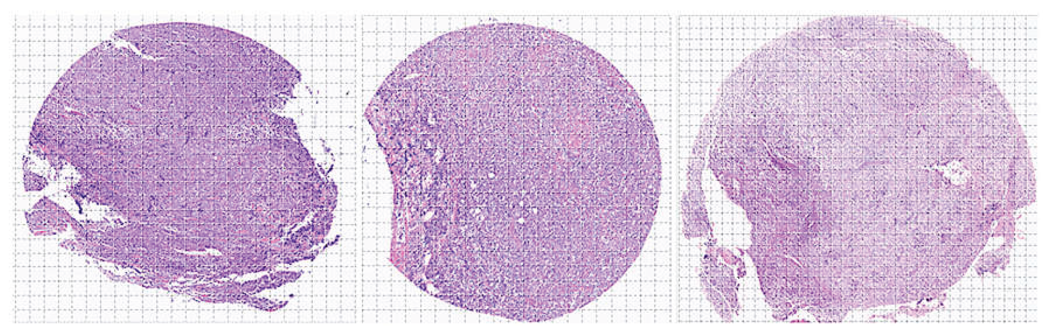 Preprints 192398 g004