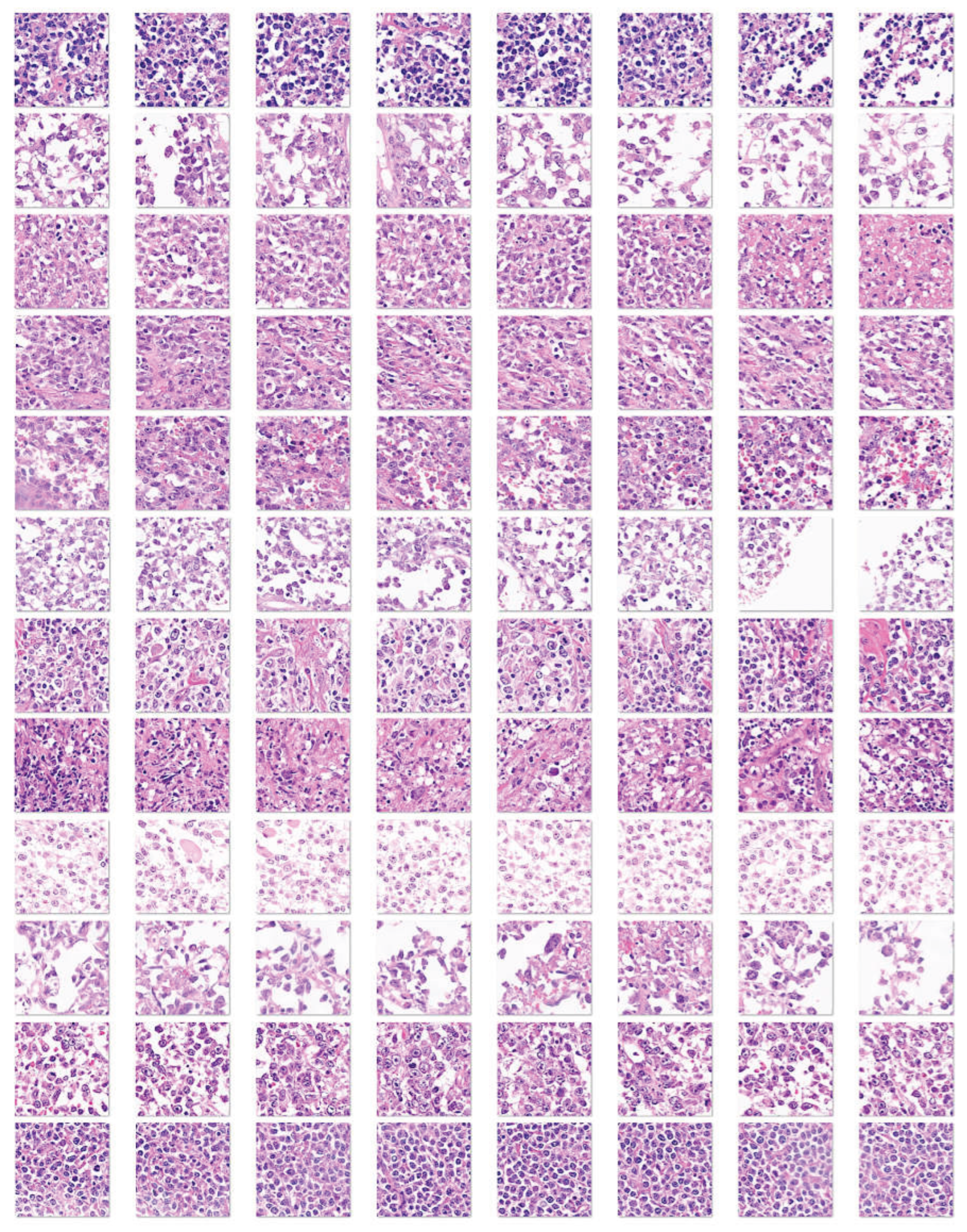 Preprints 192398 g005