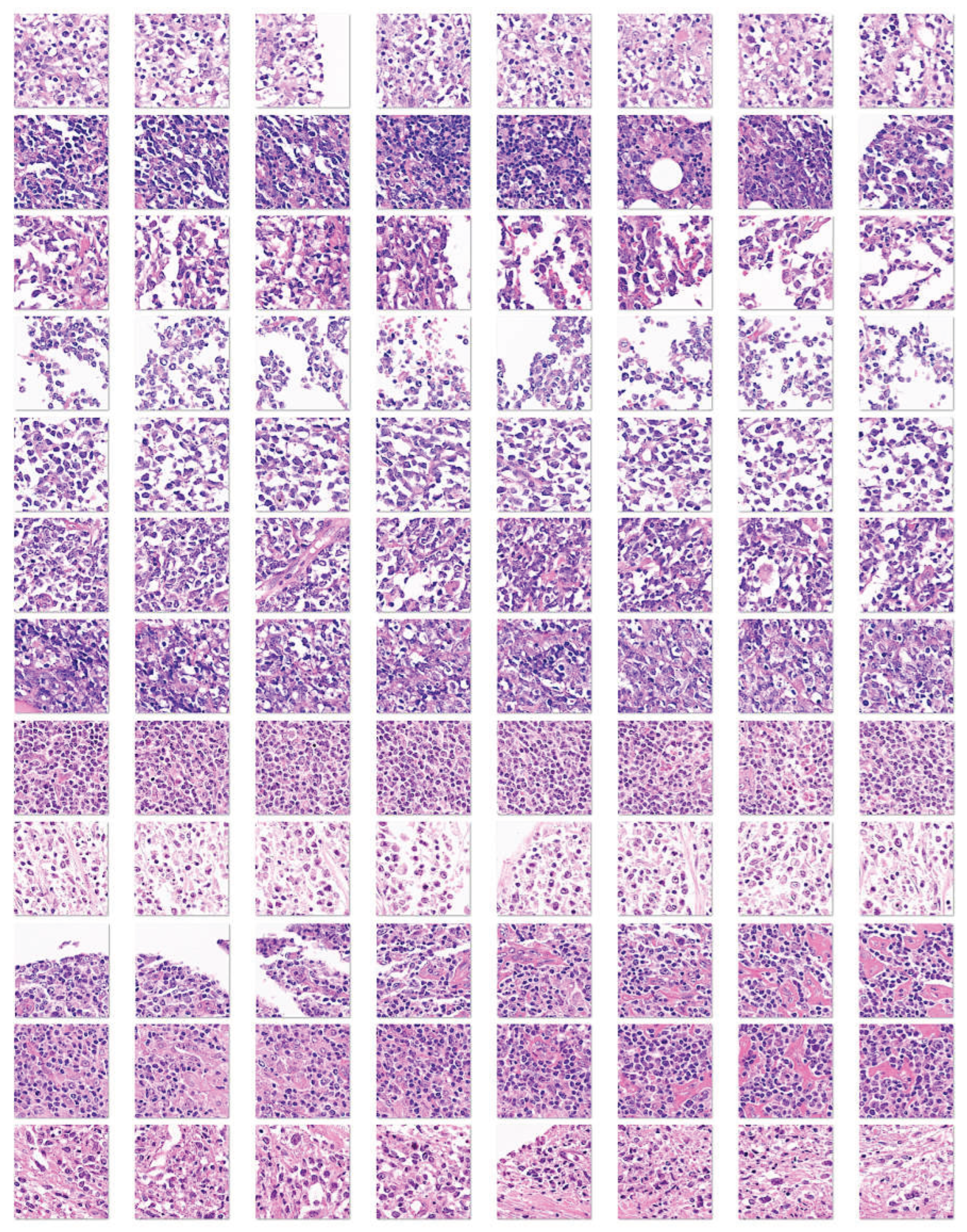 Preprints 192398 g006