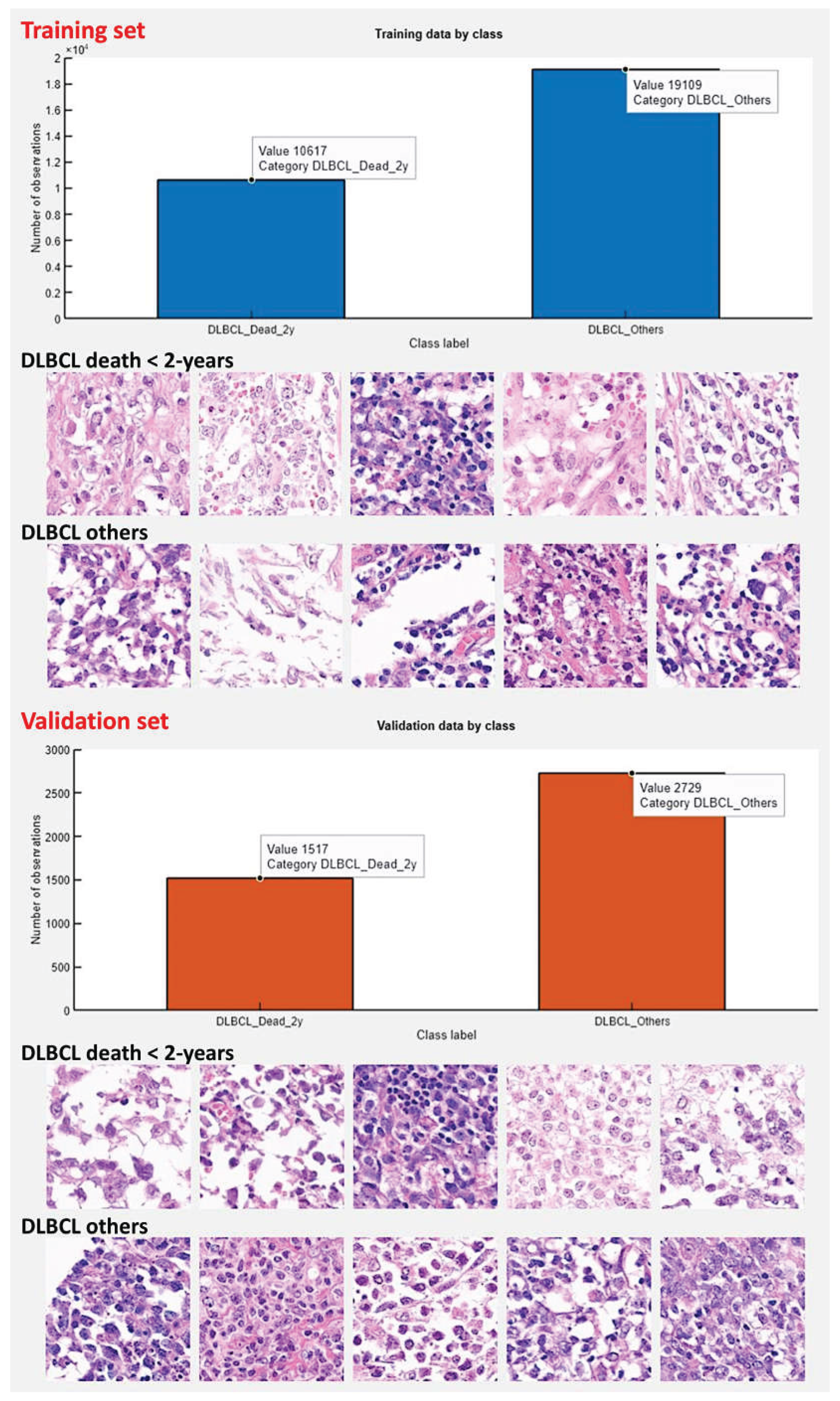 Preprints 192398 g007