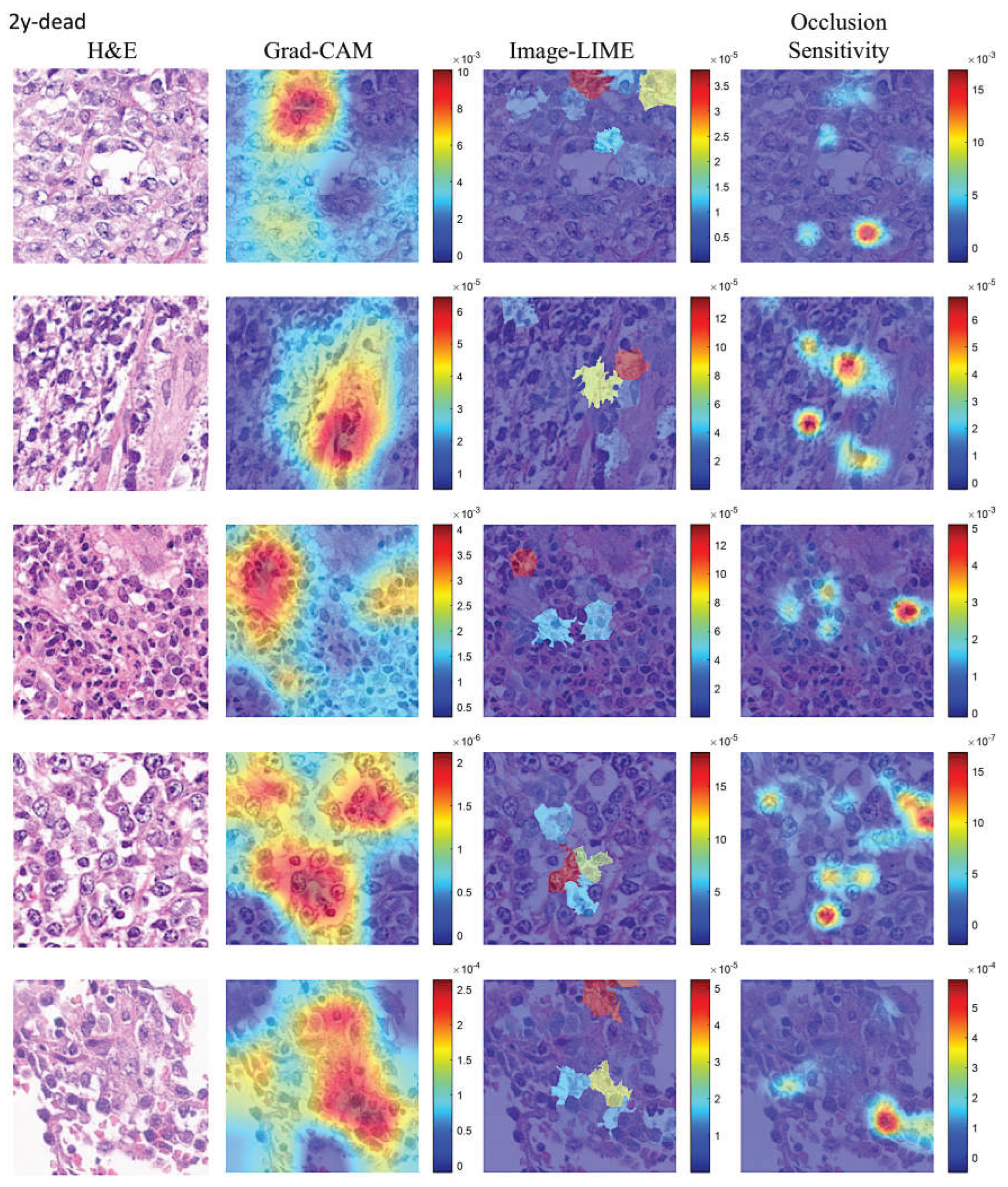 Preprints 192398 g013