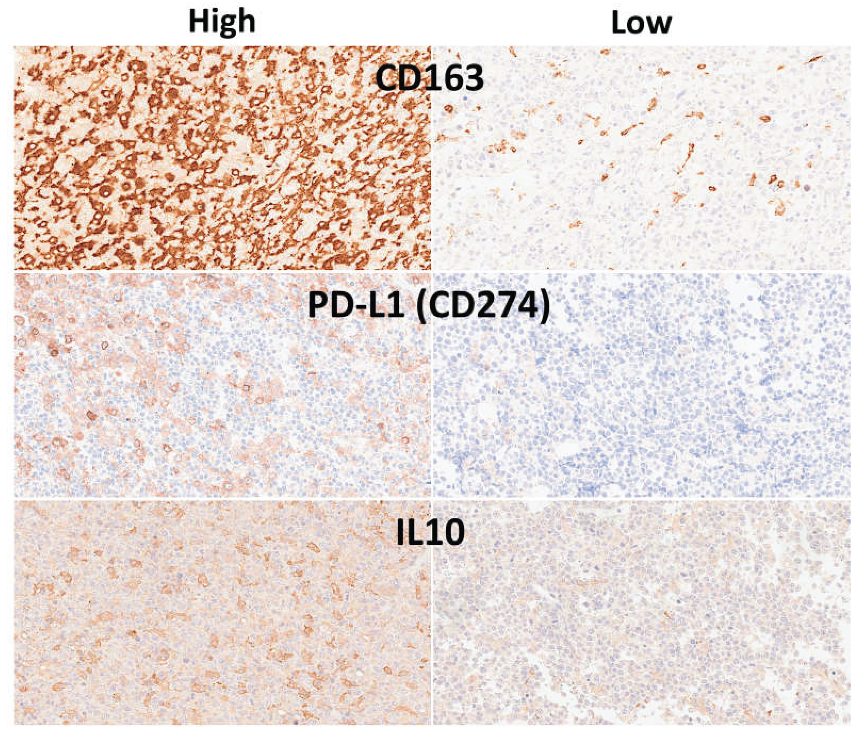 Preprints 192398 g015