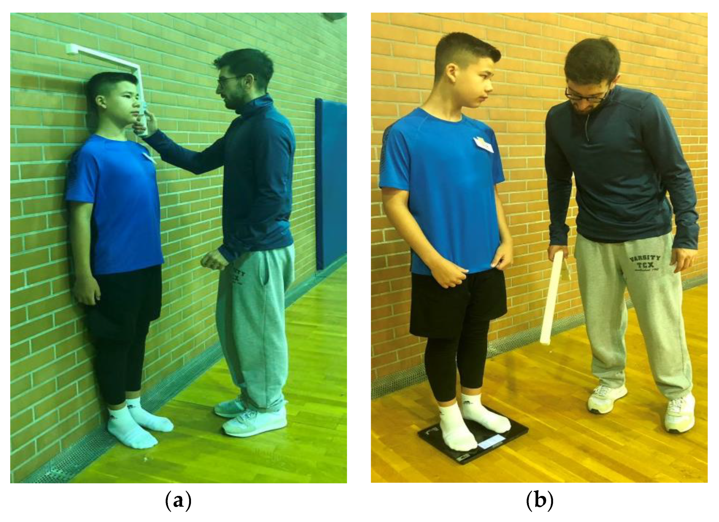 Preprints 86802 g002