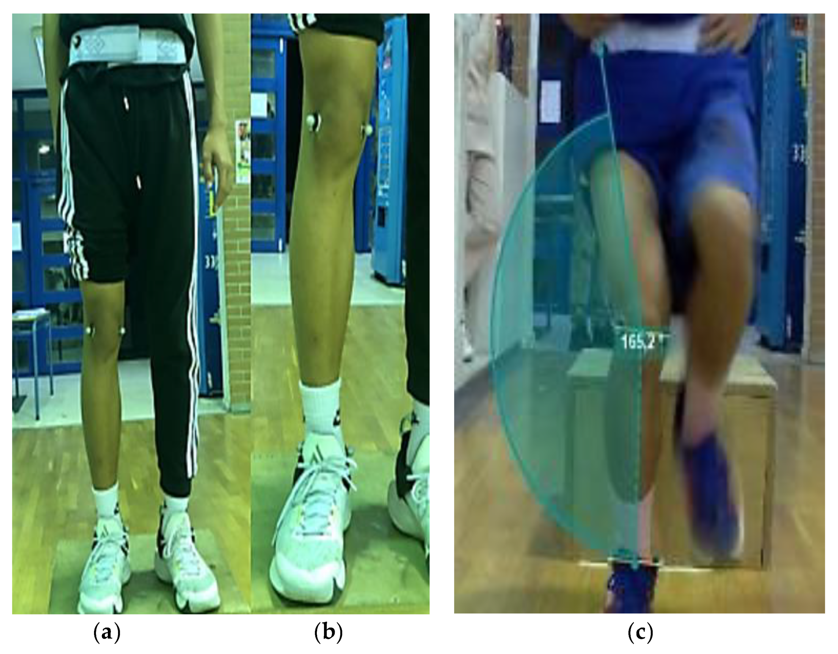 Preprints 86802 g003