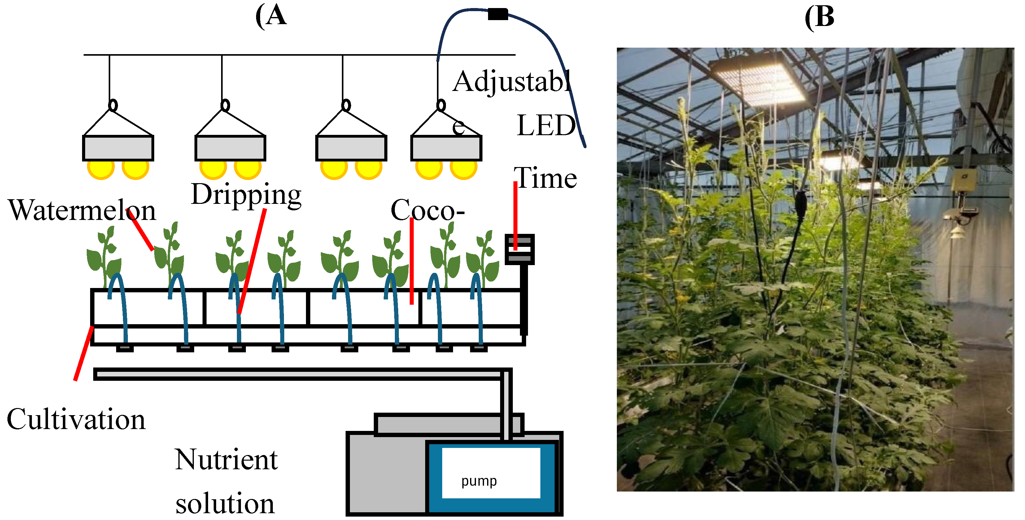 Preprints 147893 g001