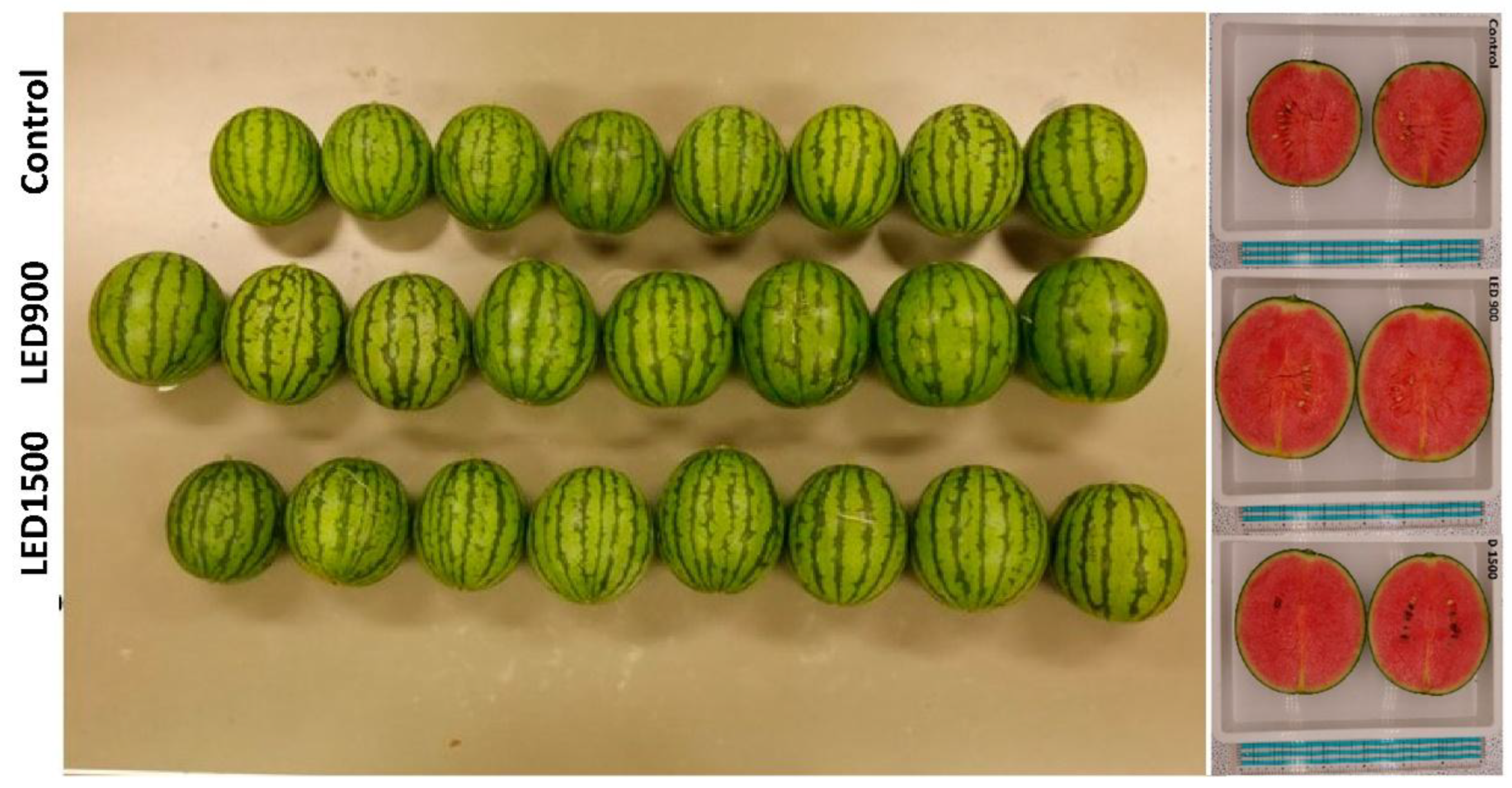 Preprints 147893 g009