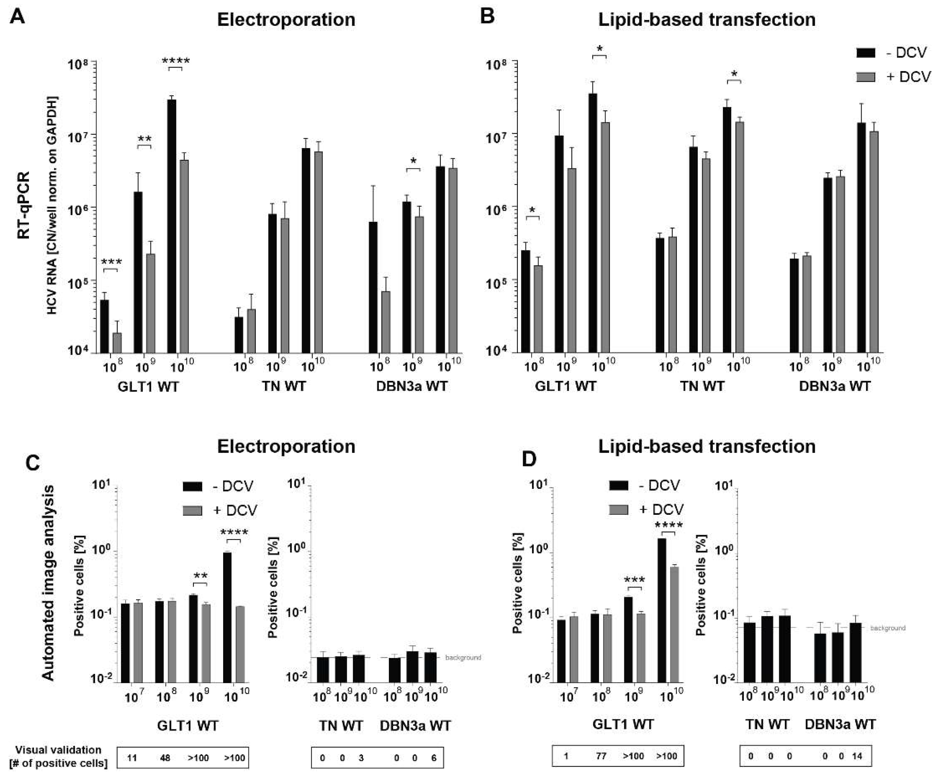 Preprints 137383 g005