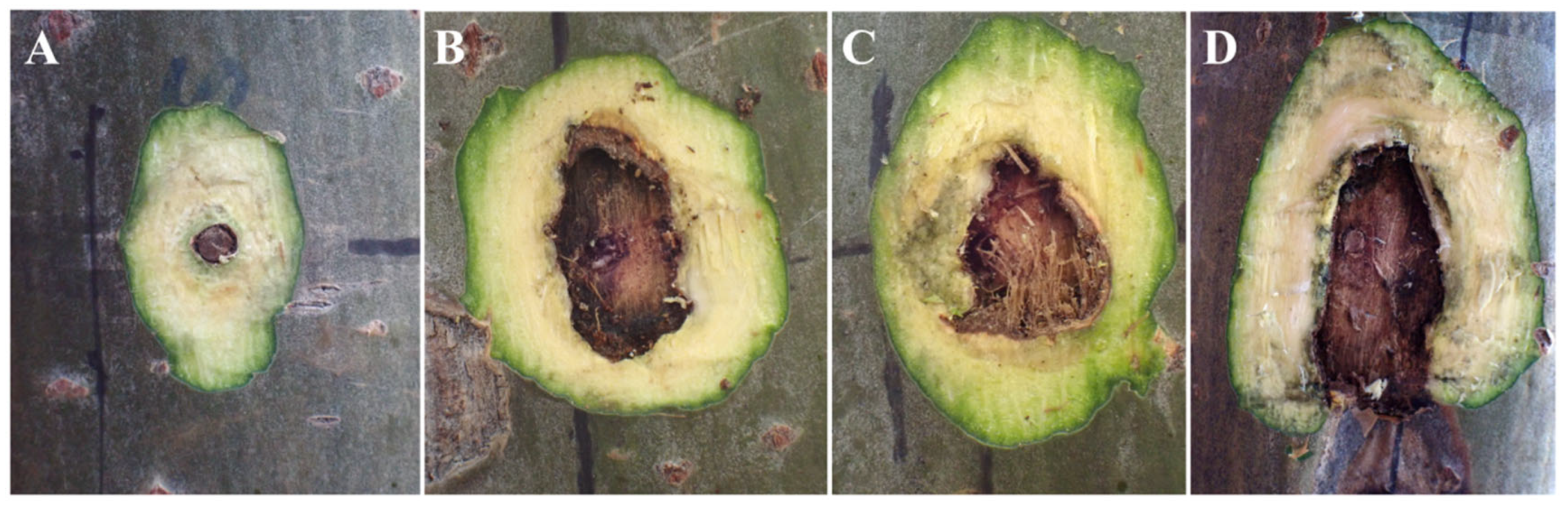 Preprints 100495 g003