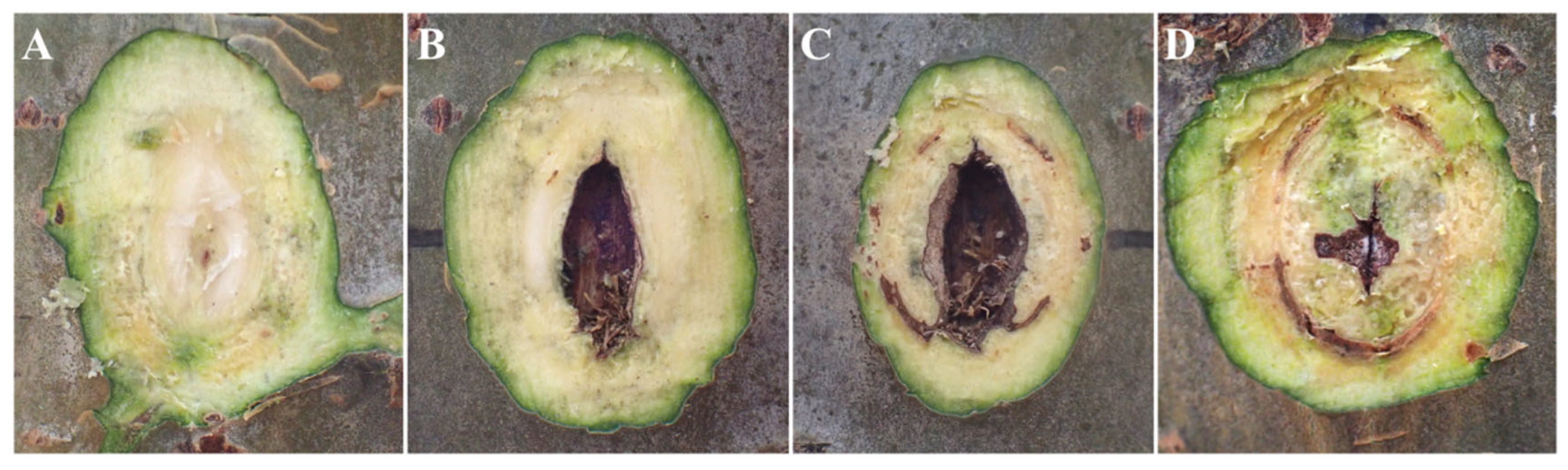 Preprints 100495 g004
