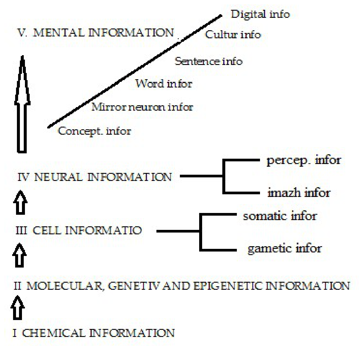 Preprints 228155 g001