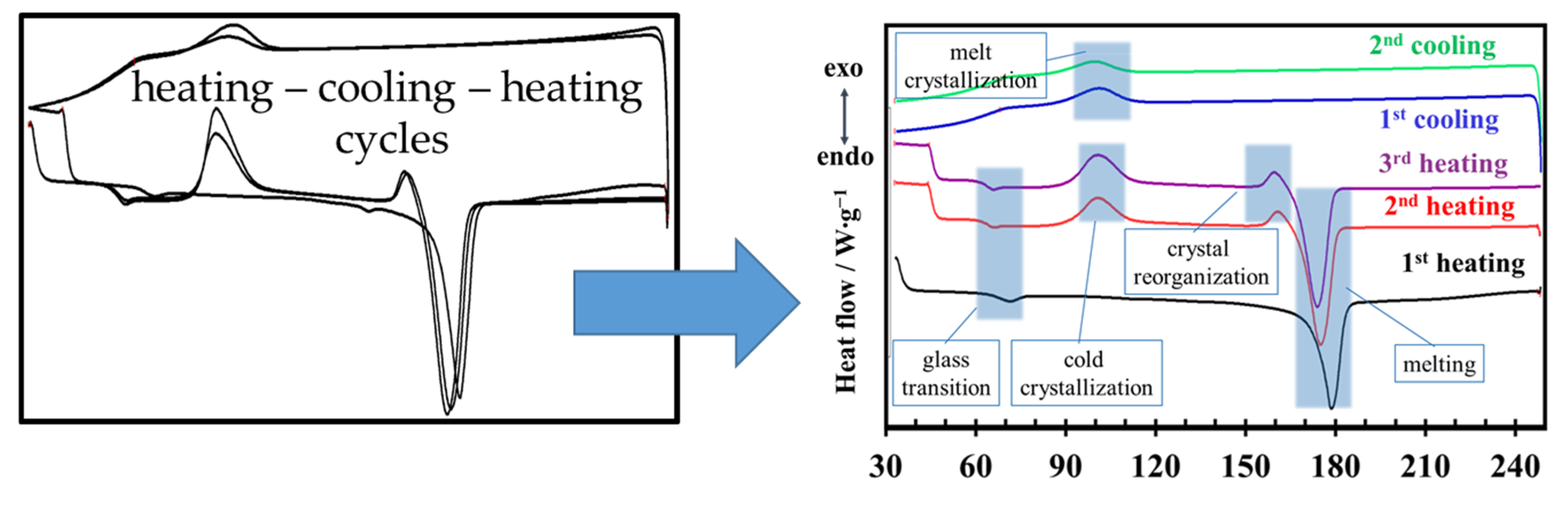 Preprints 195093 g009