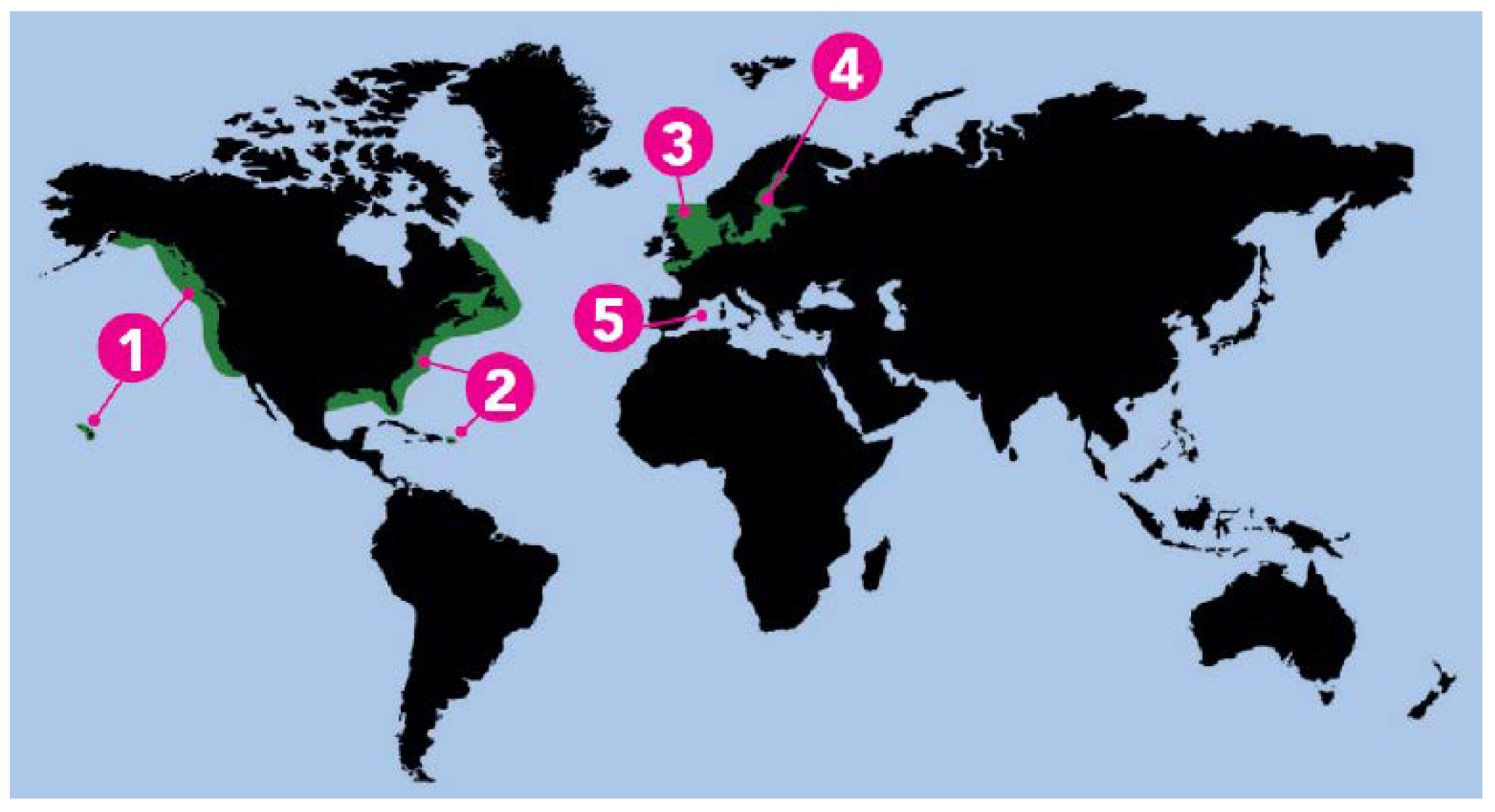 Preprints 113815 g001