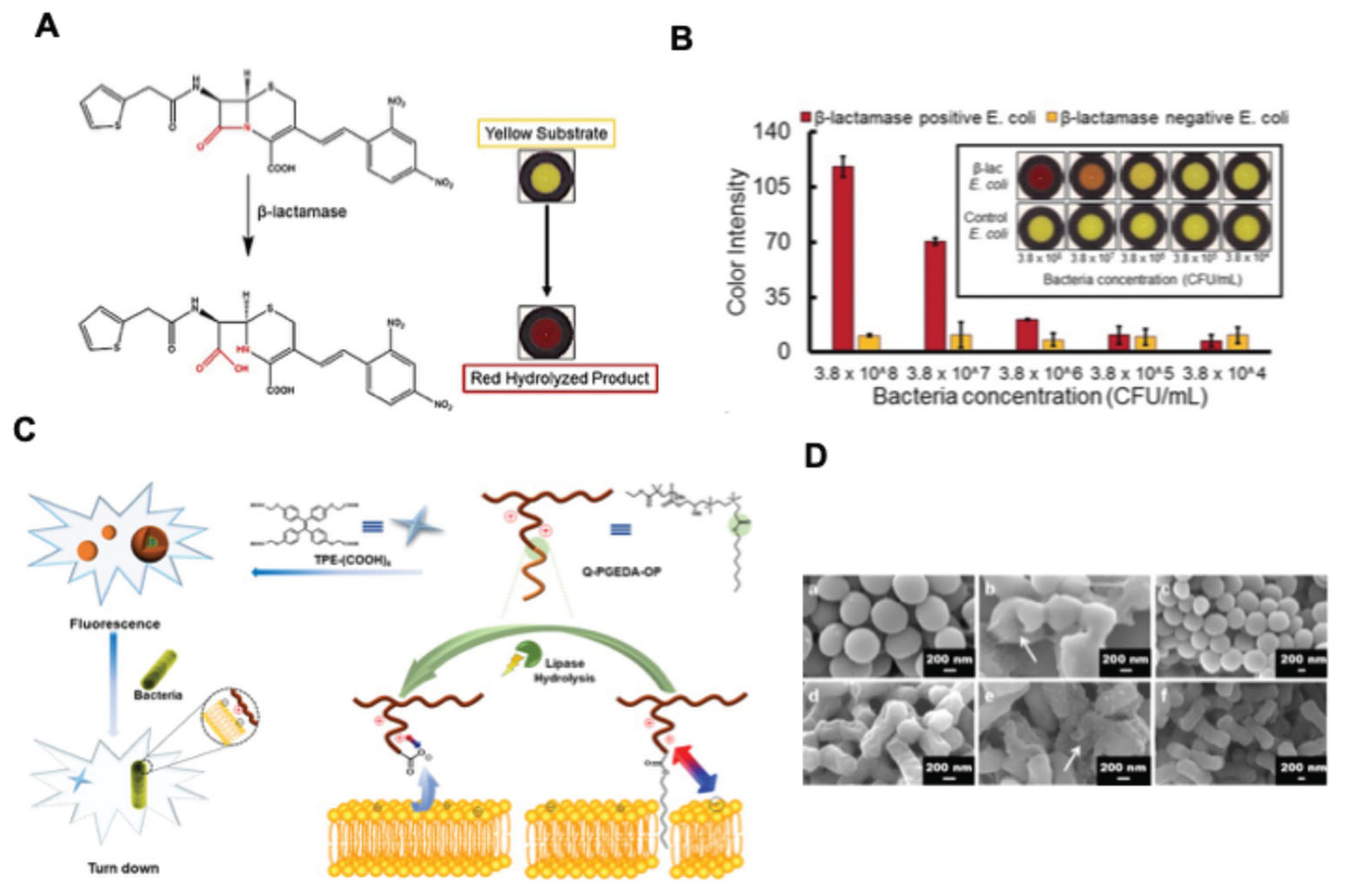 Preprints 197607 g002