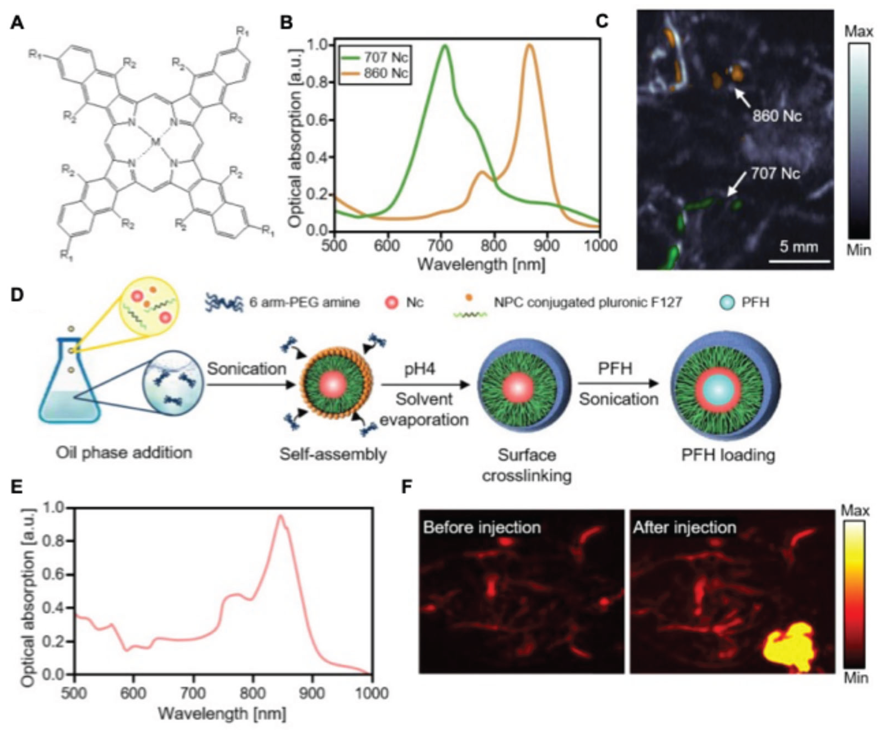 Preprints 197607 g005