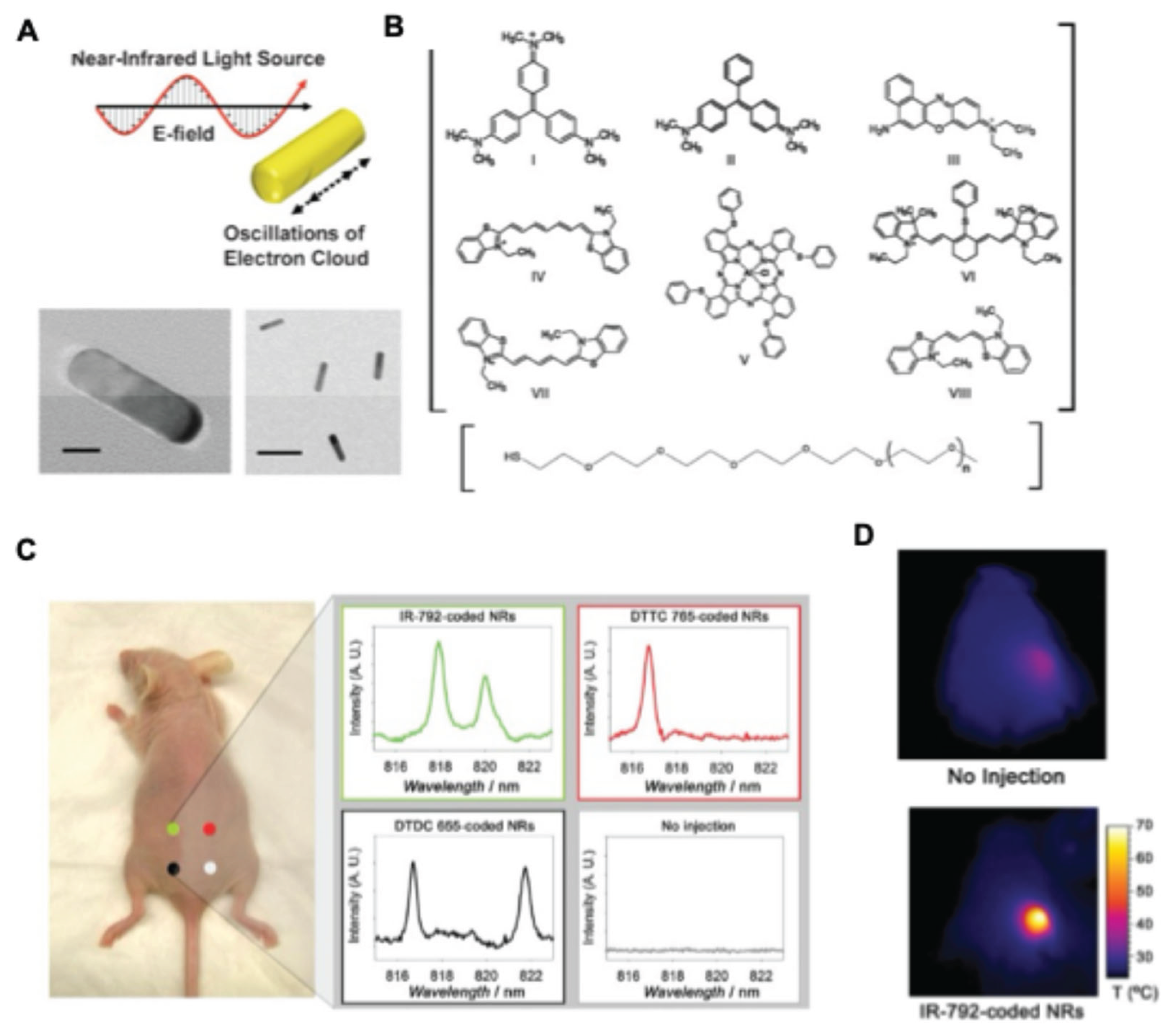 Preprints 197607 g006