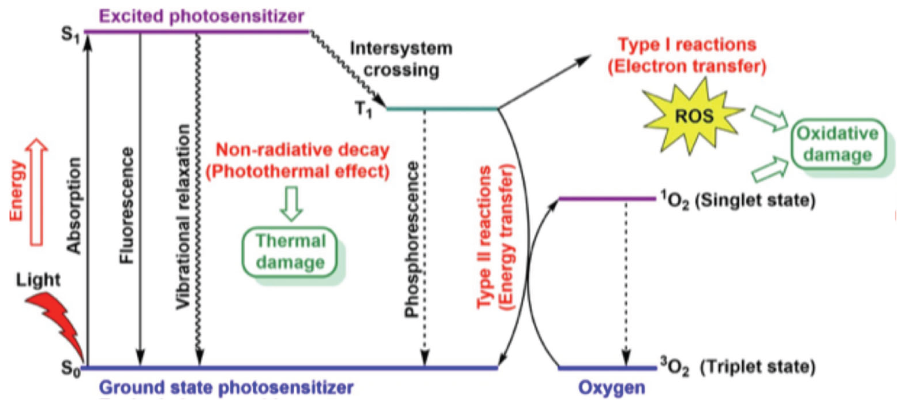 Preprints 197607 g008