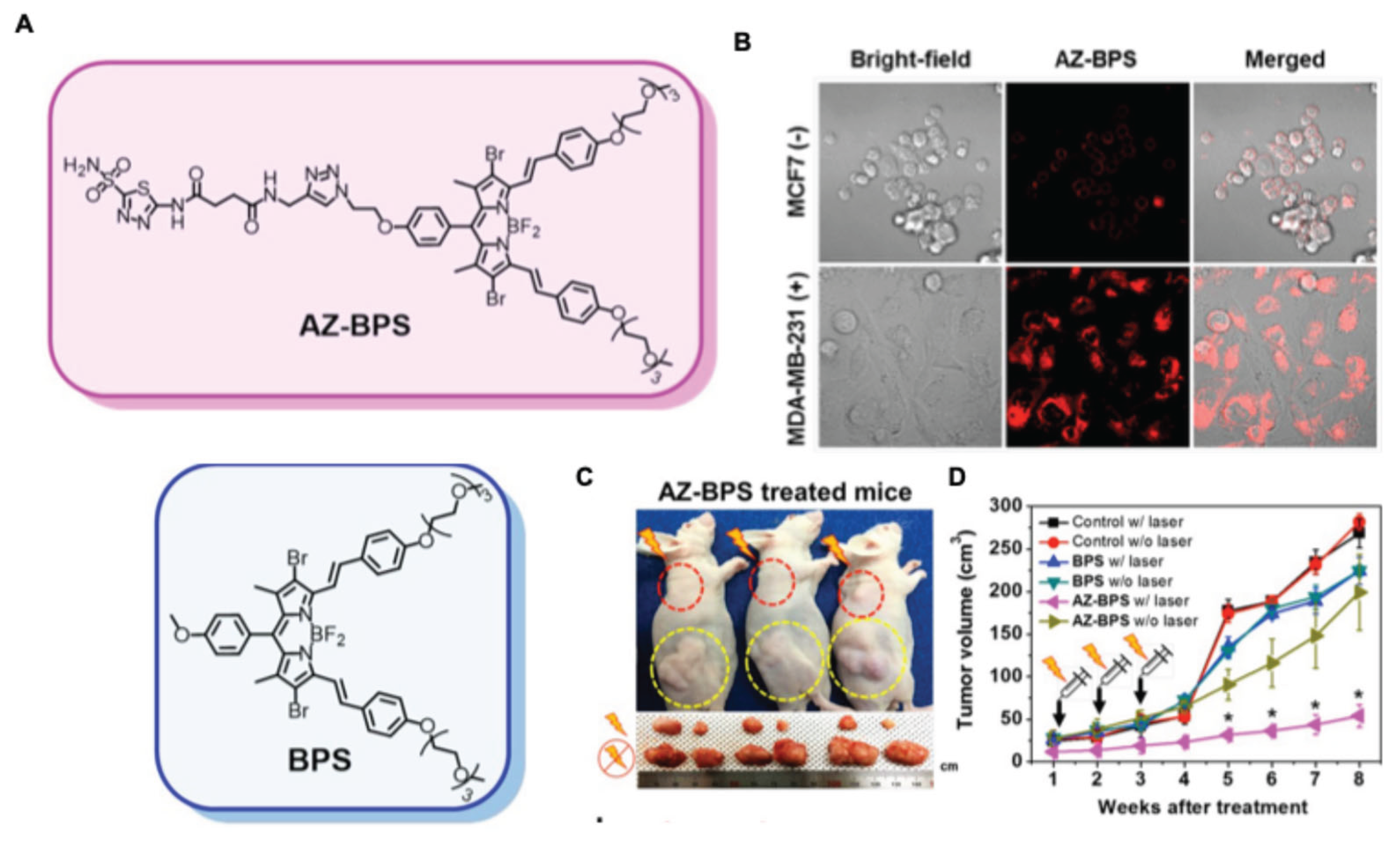 Preprints 197607 g010