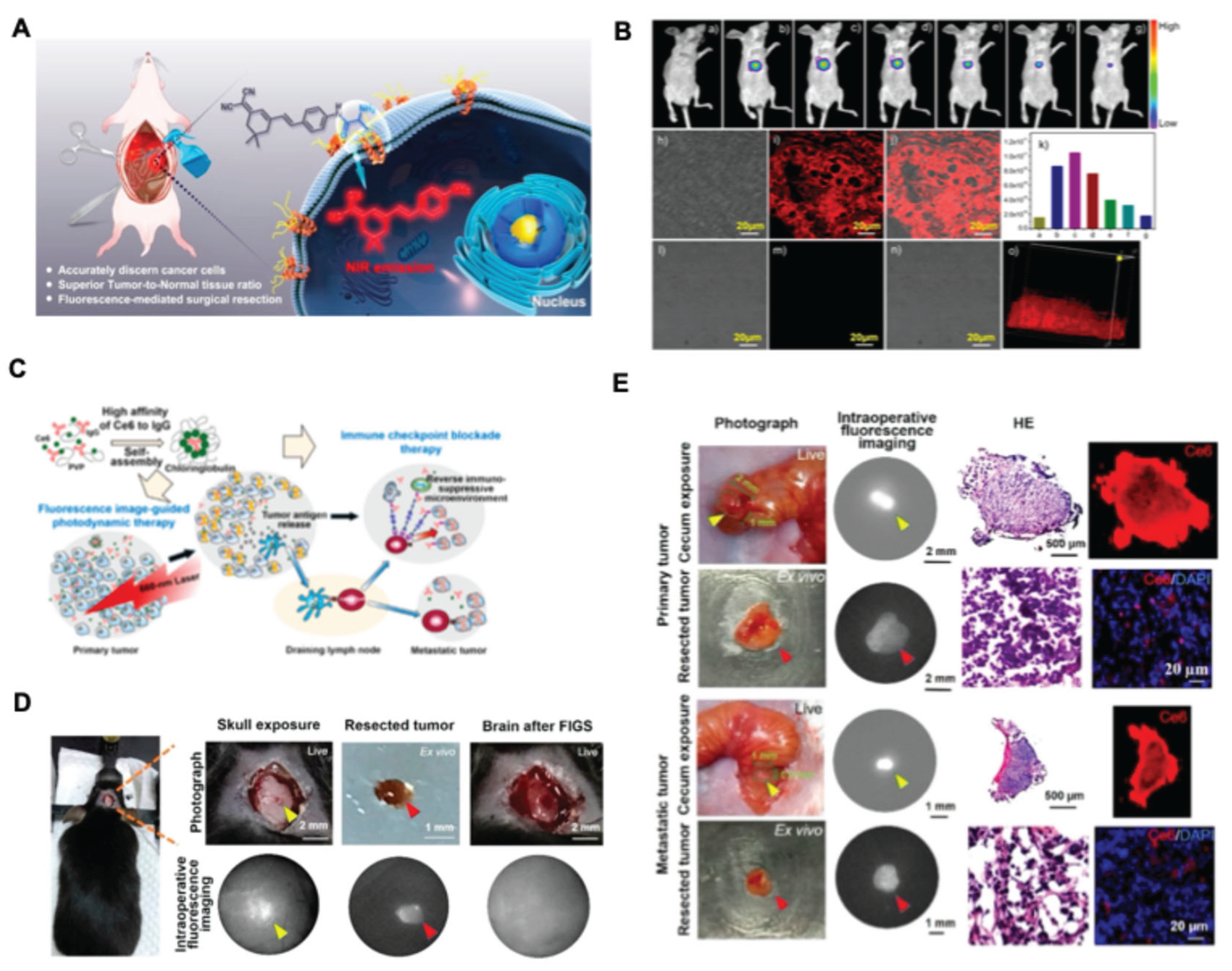 Preprints 197607 g012