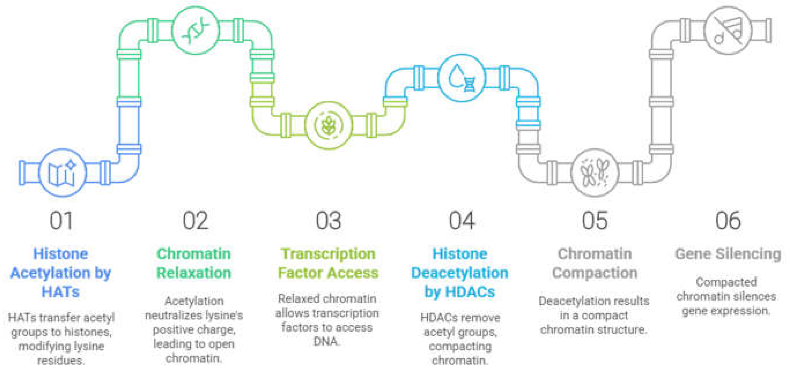 Preprints 153764 g002