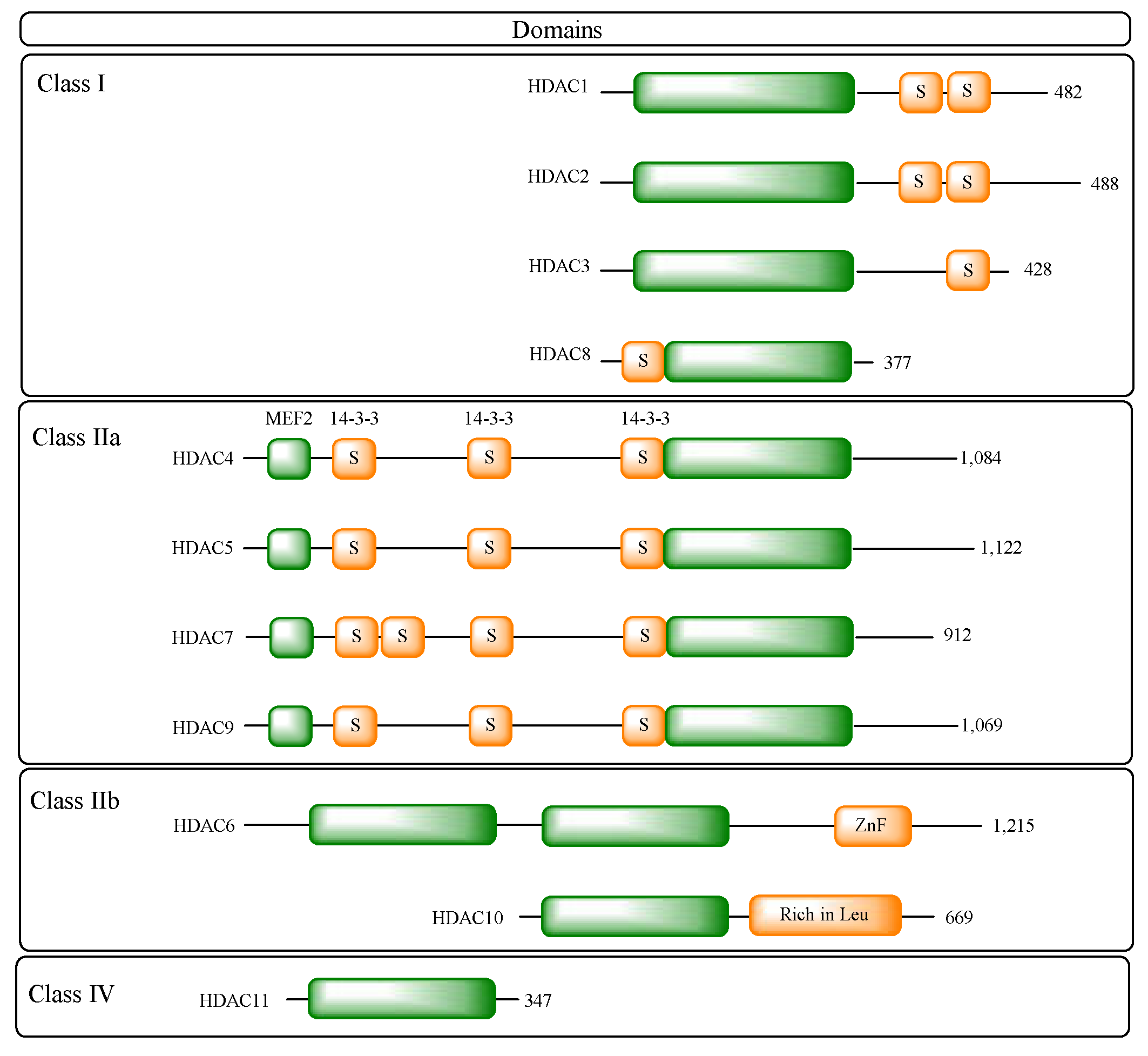 Preprints 153764 g003