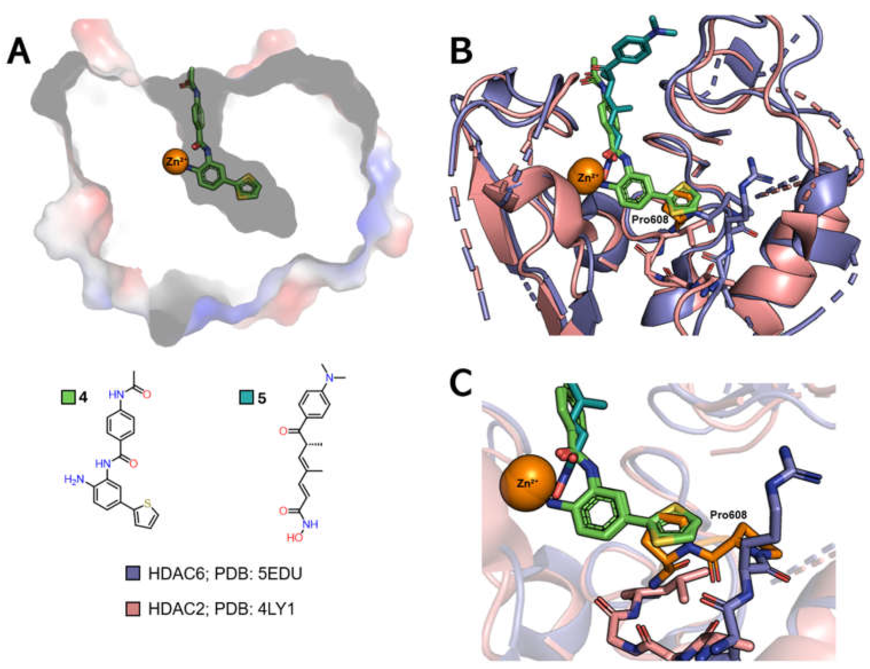 Preprints 153764 g006