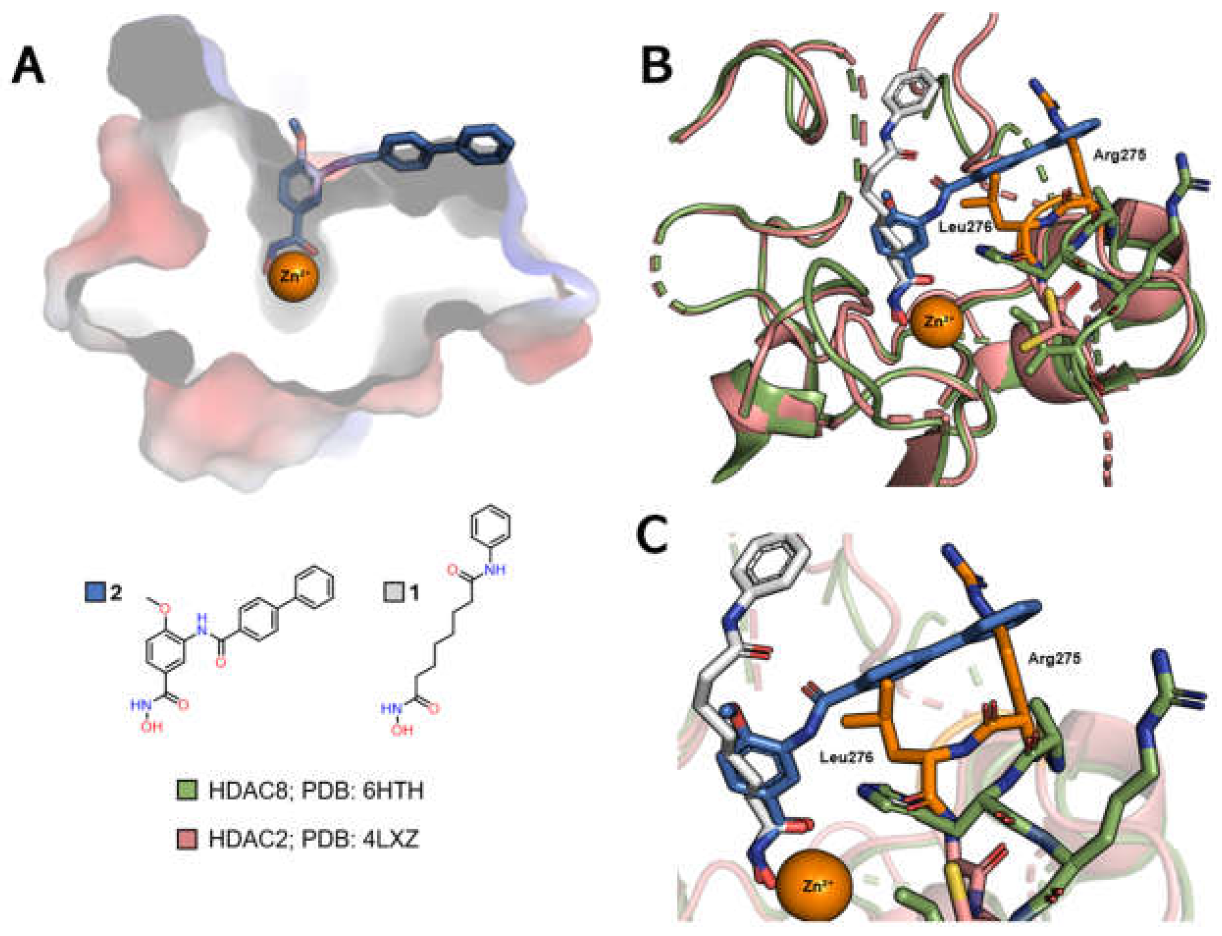 Preprints 153764 g007