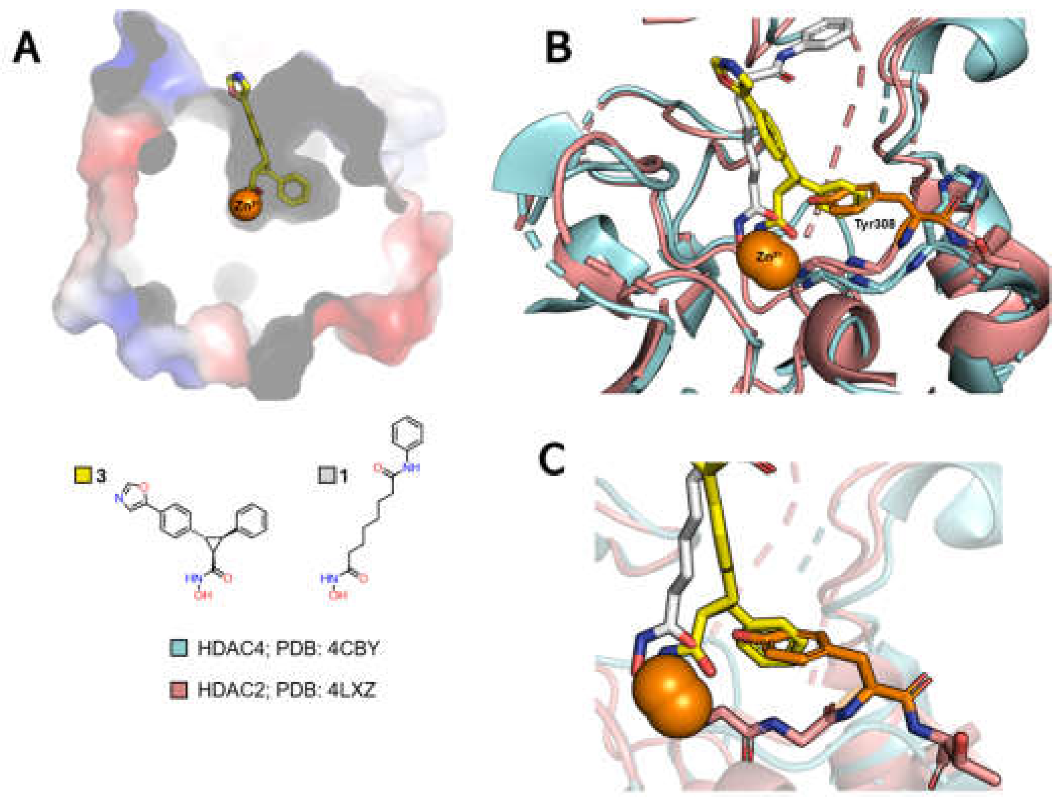 Preprints 153764 g008
