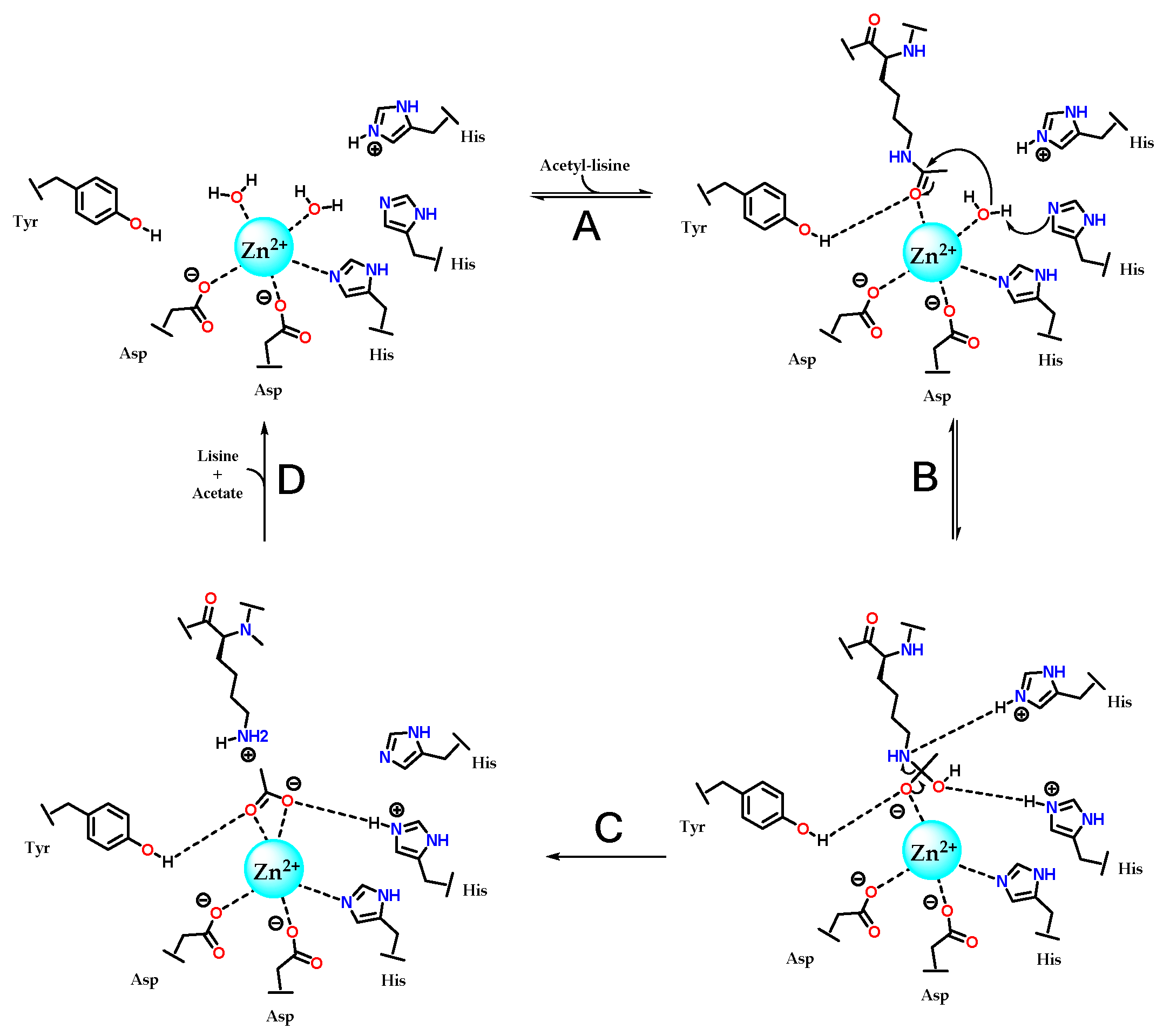 Preprints 153764 g011