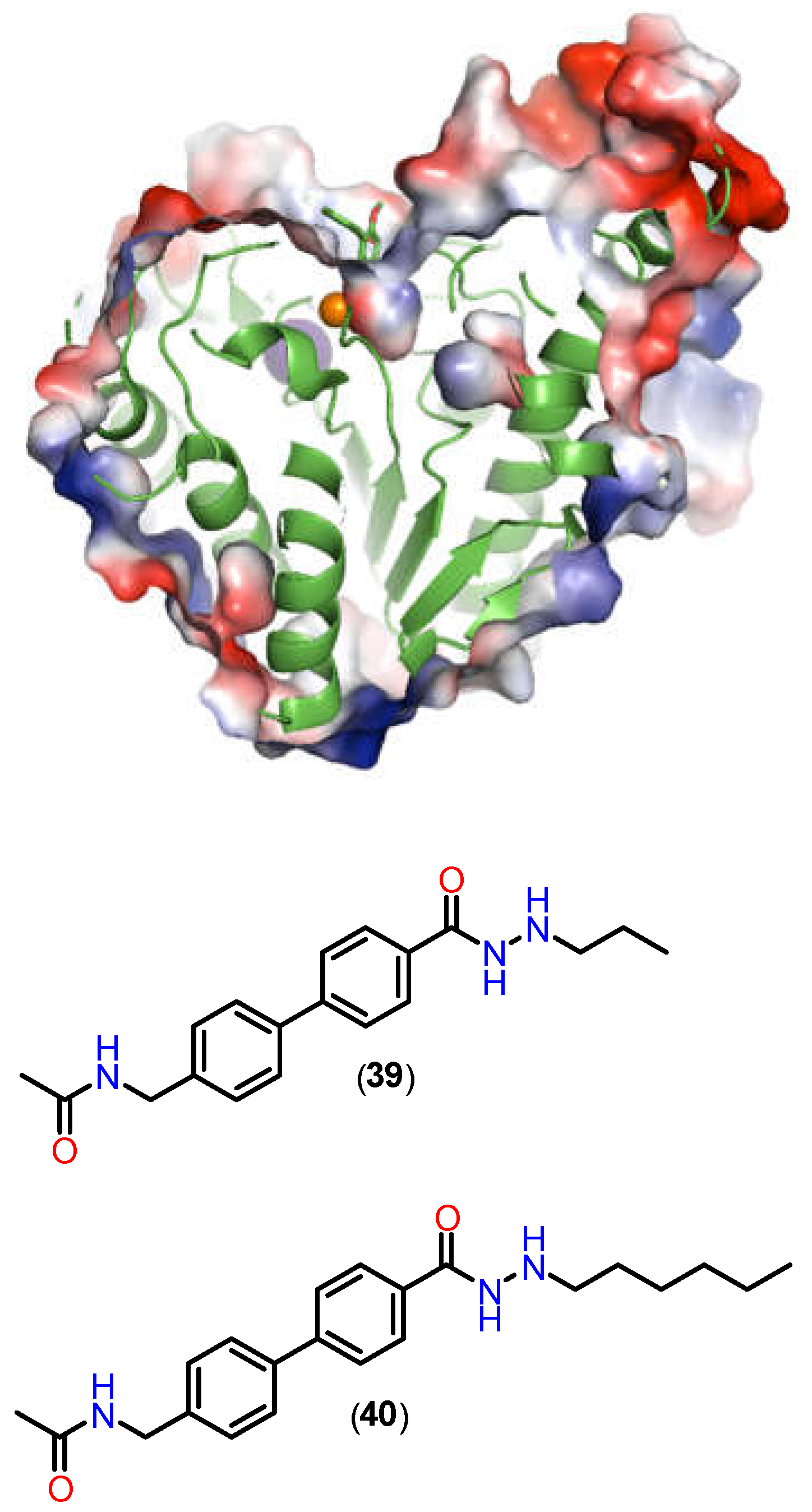 Preprints 153764 g018