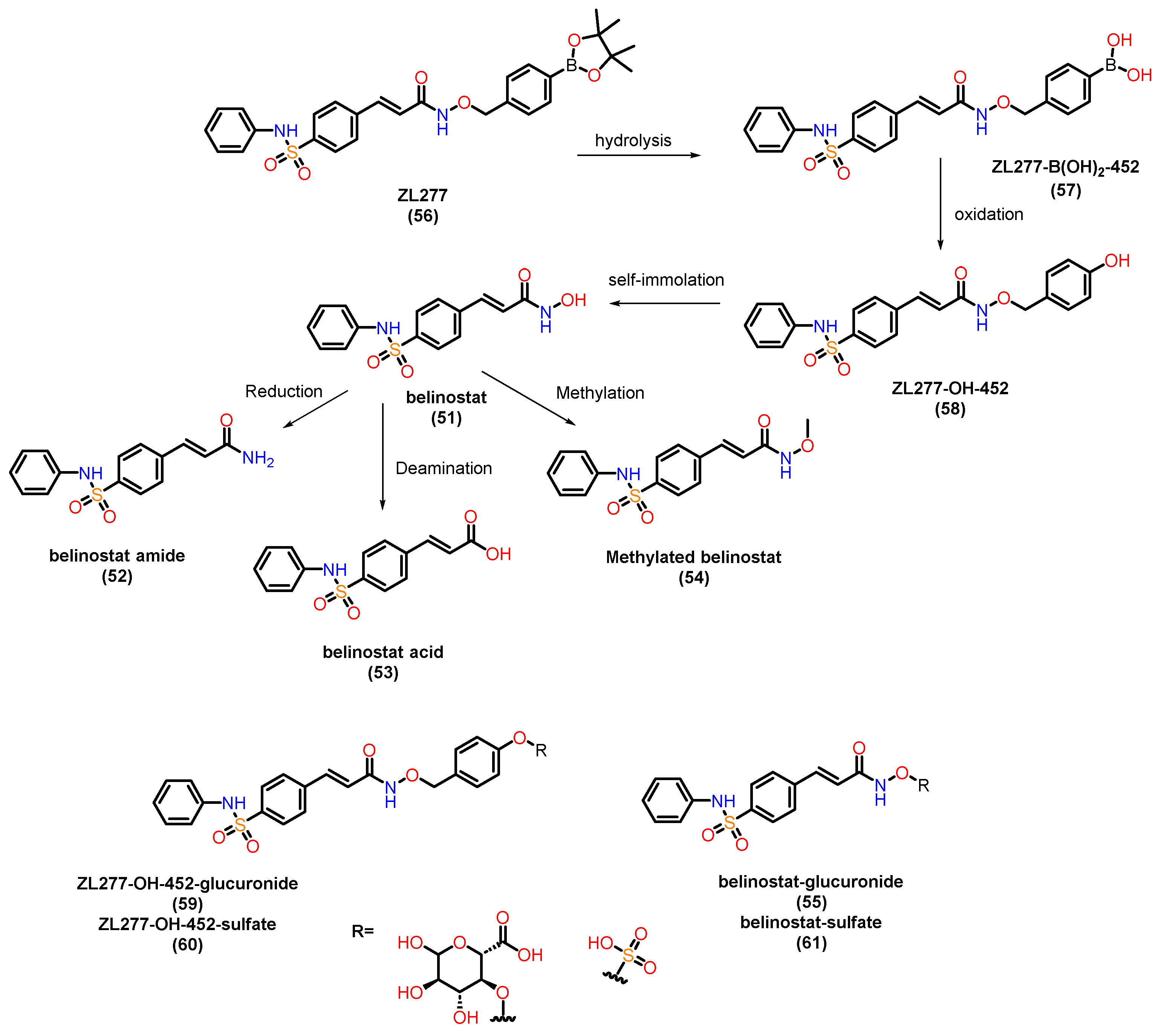 Preprints 153764 g022