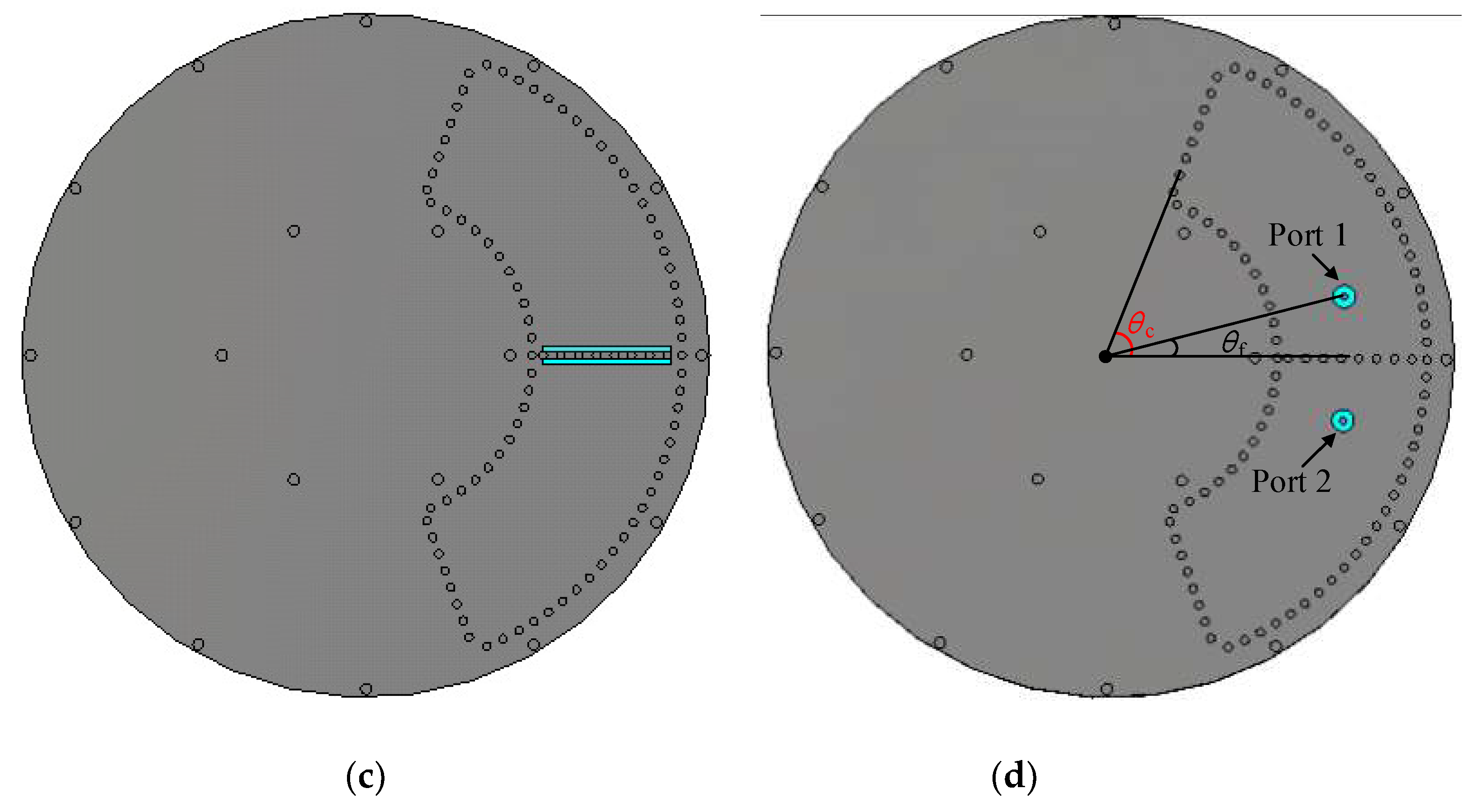 Preprints 70752 g001b