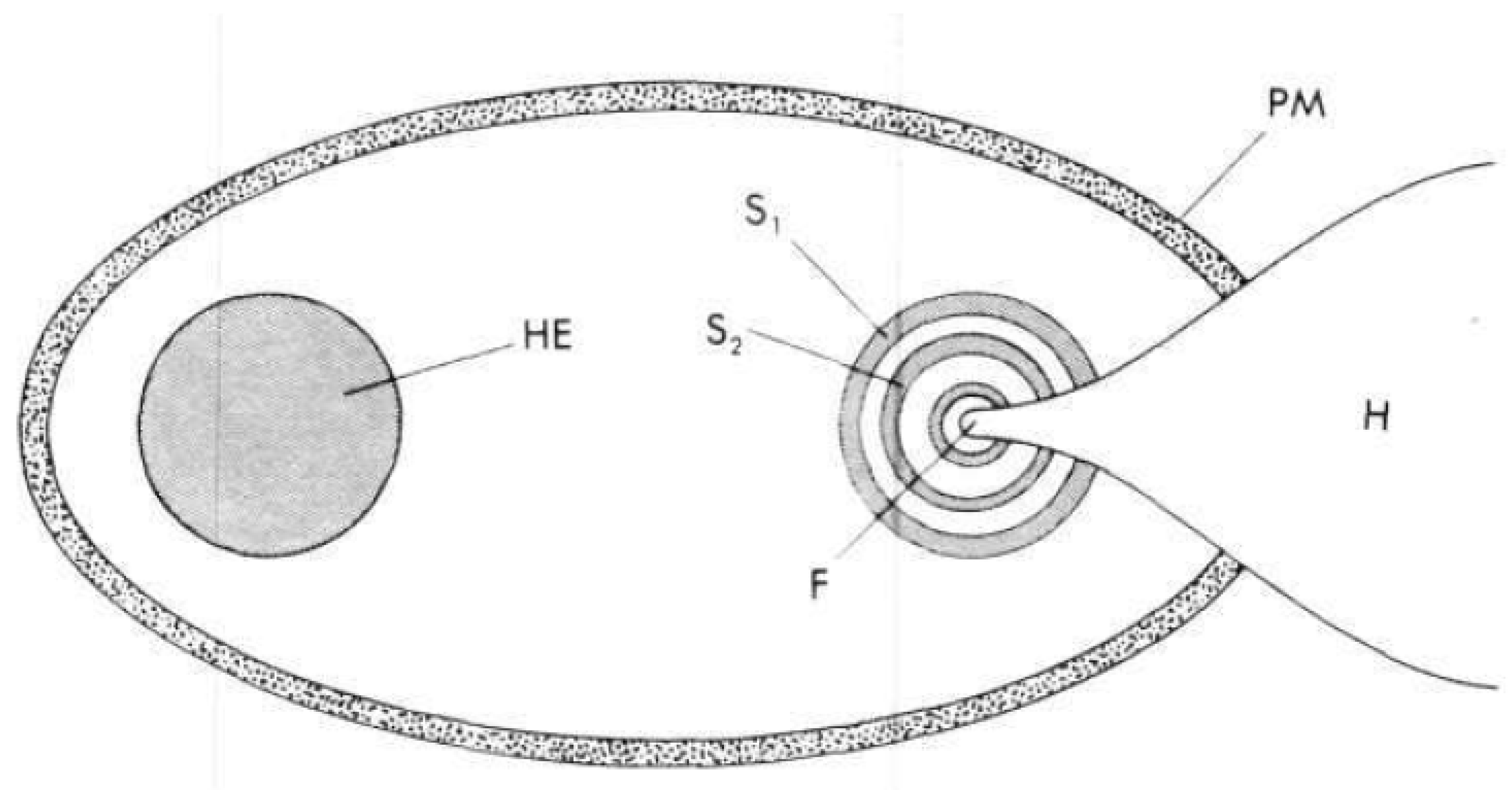 Preprints 67390 g016