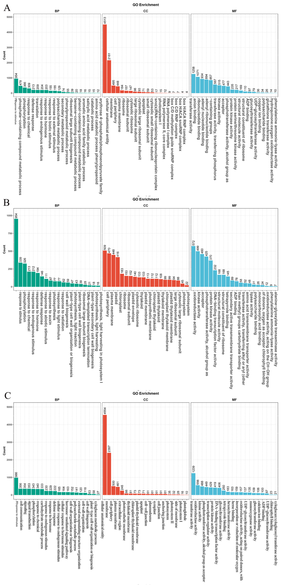 Preprints 227163 g002 Preprints 227163 g002
