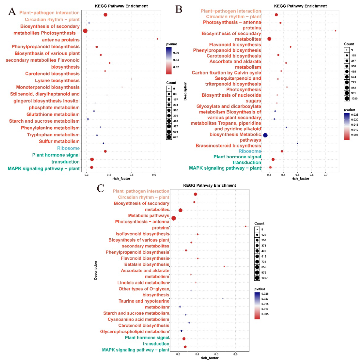 Preprints 227163 g003 Preprints 227163 g003