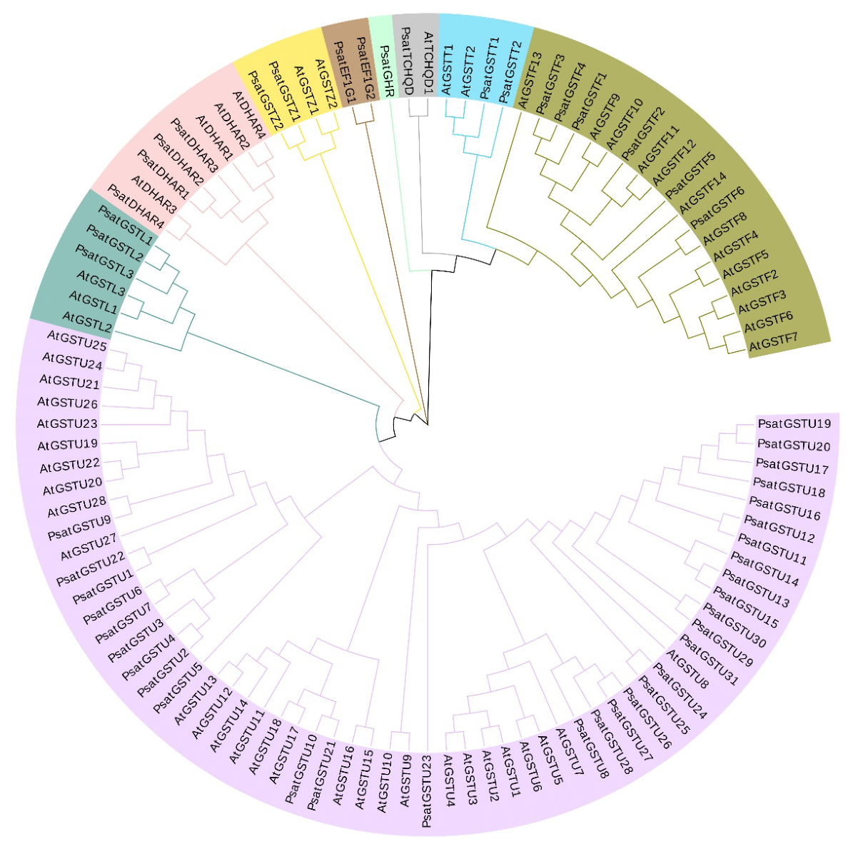 Preprints 227163 g004 Preprints 227163 g004