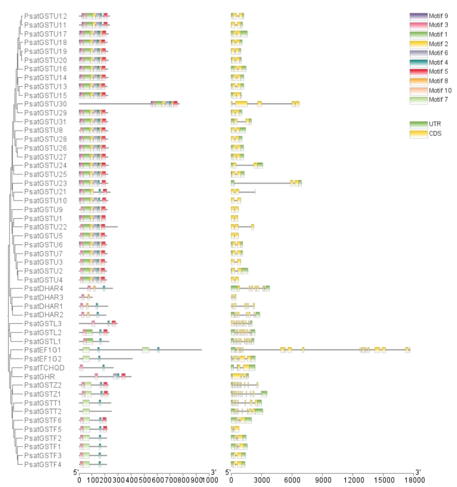 Preprints 227163 g005 Preprints 227163 g005