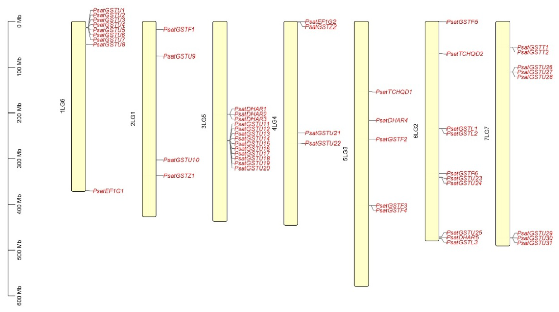 Preprints 227163 g006 Preprints 227163 g006