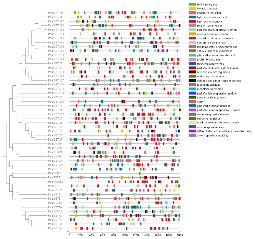 Preprints 227163 g007 Preprints 227163 g007