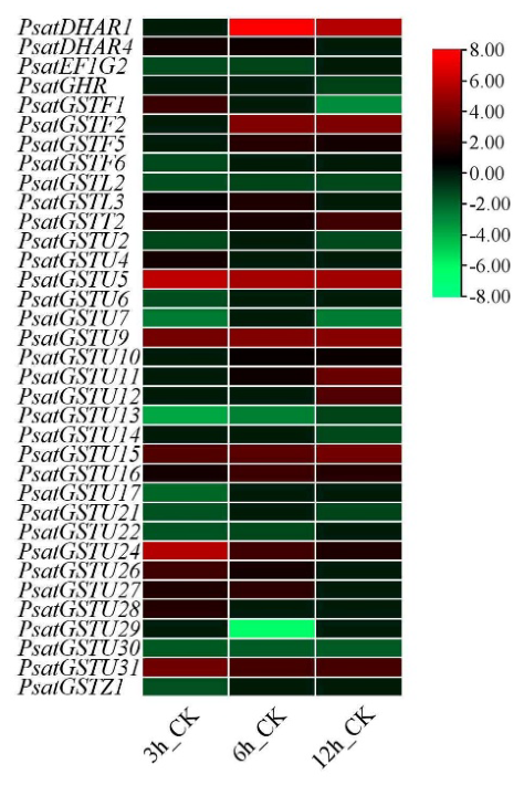 Preprints 227163 g008 Preprints 227163 g008